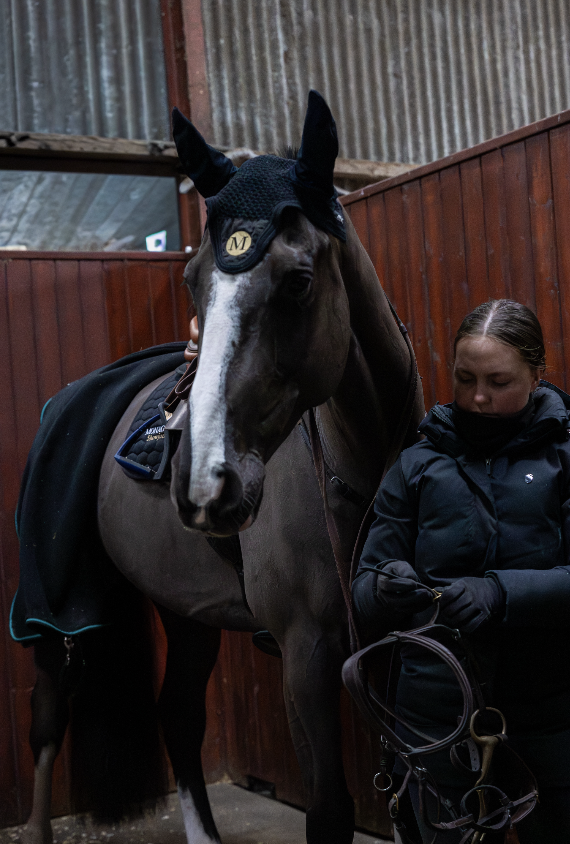 Screenshot 2026-01-23 at 00.53.04.png