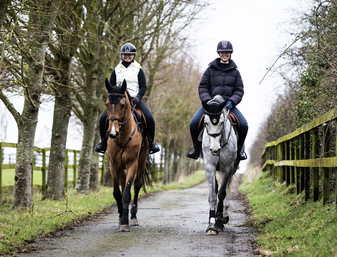 Screenshot 2026-01-22 at 23.41.28.png