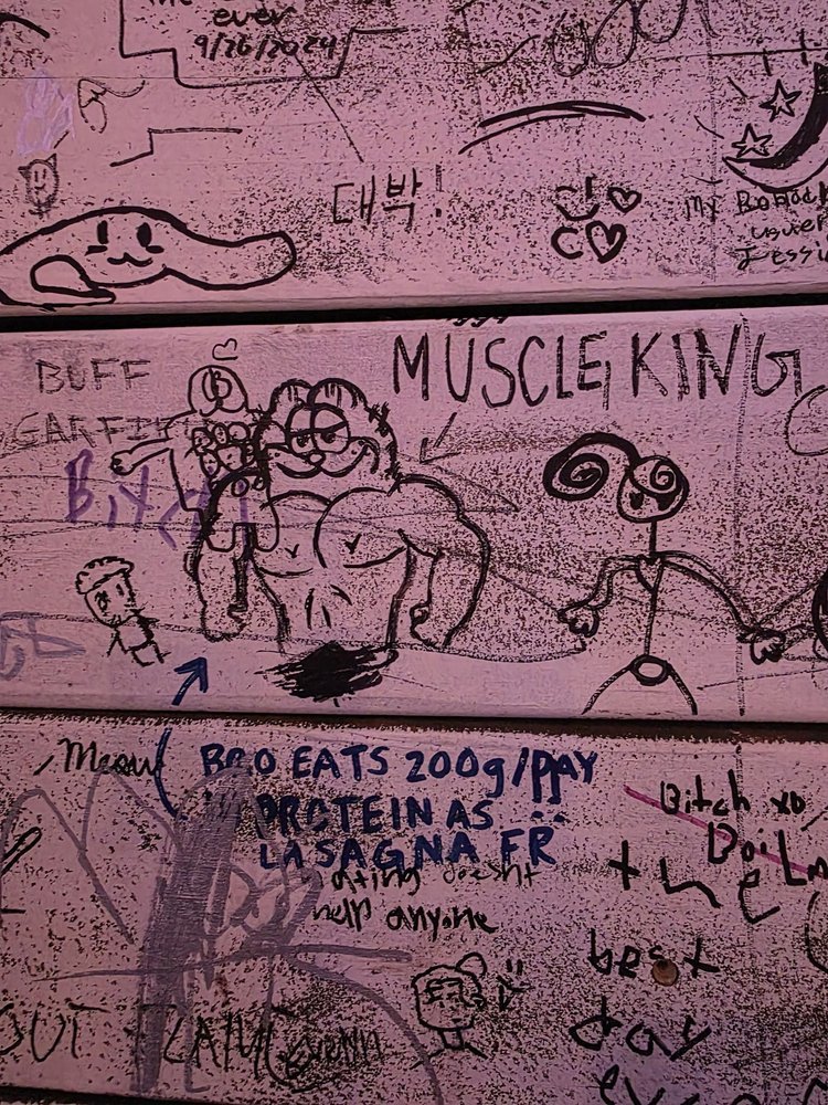 A pink surface covered in various doodles and handwritten notes, including a muscular cartoon figure labeled "MUSCLE KING," a smaller character on the left, and text referencing protein intake. There are also stars, hearts, and a smiling dog drawing,