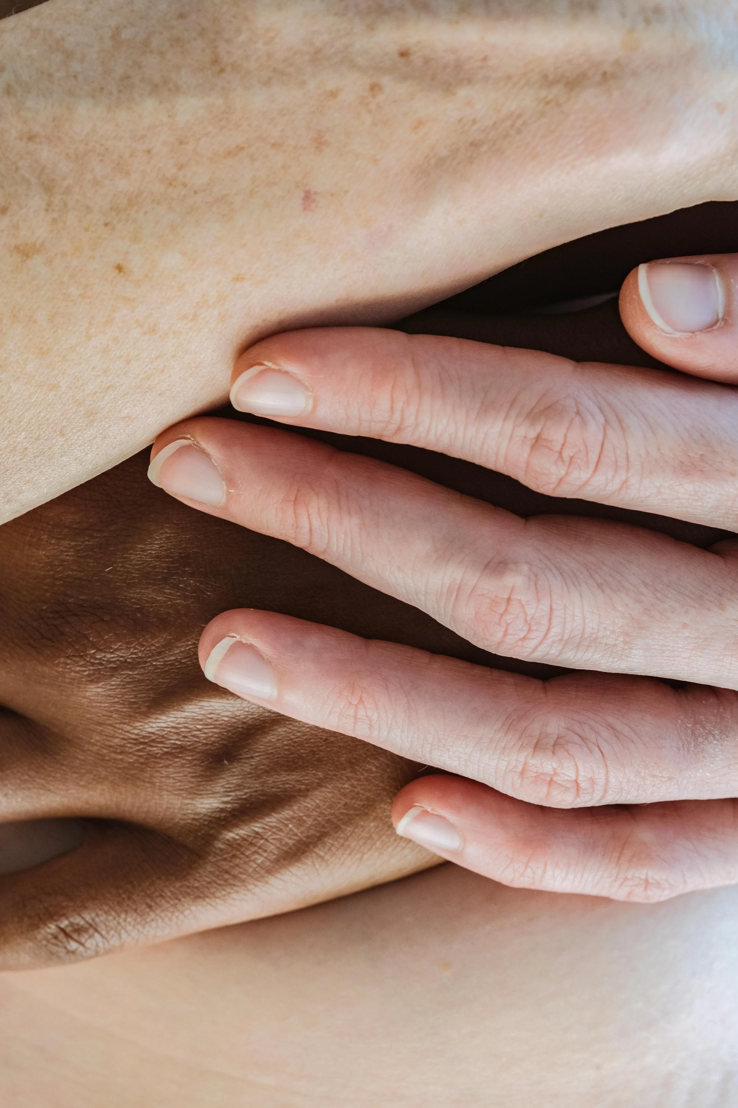 Close-up of two hands, one with light skin and the other with dark skin, gently touching or holding each other.
