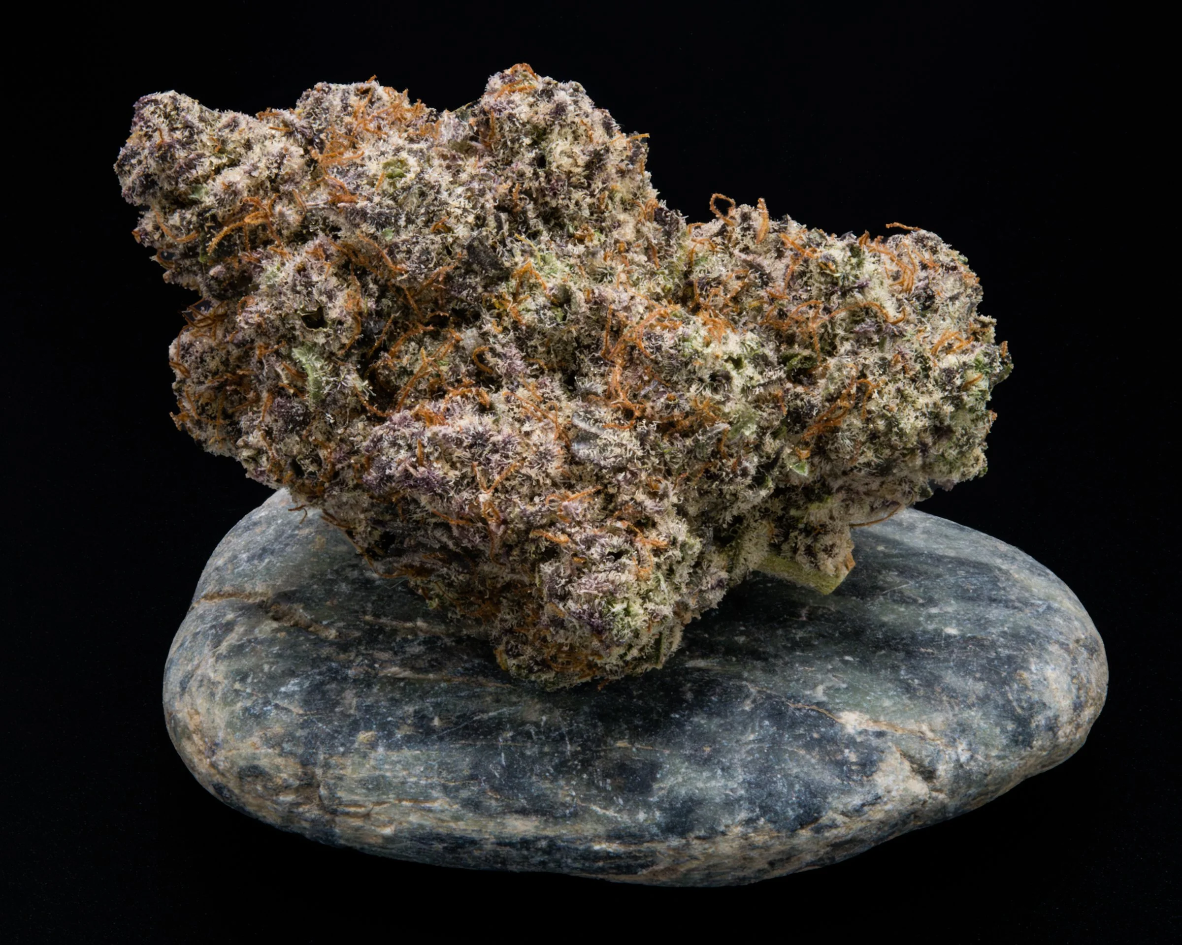 Sour Safire