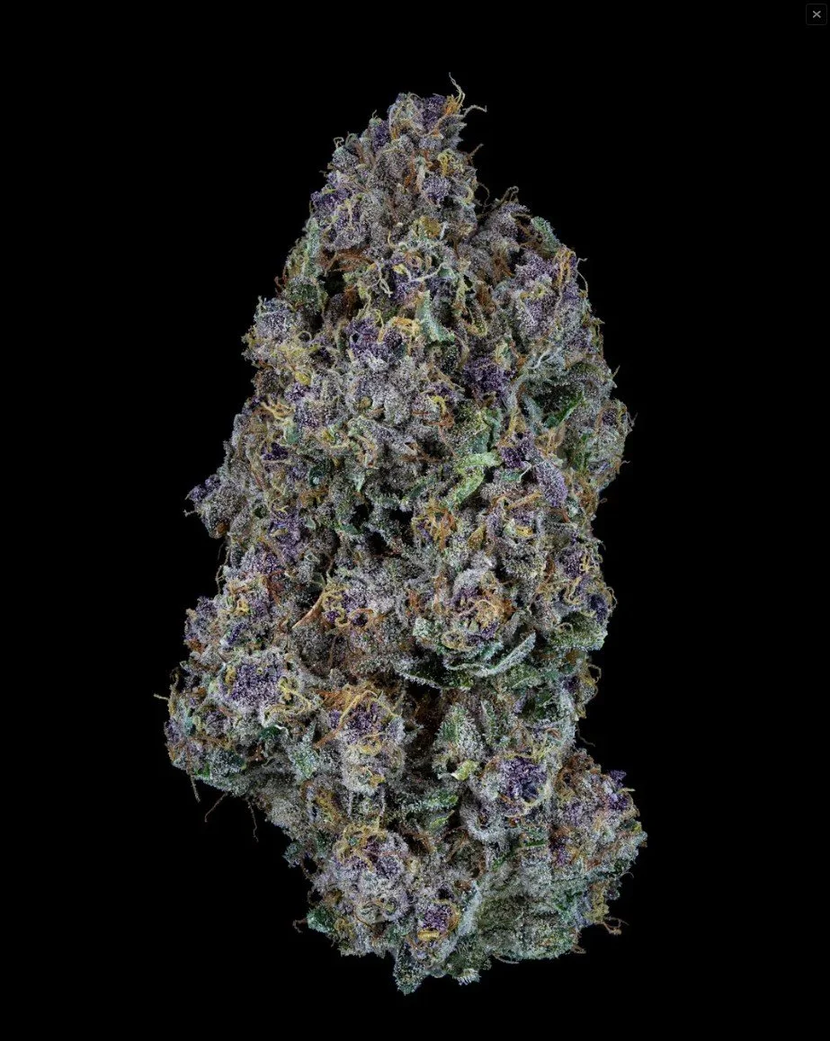 Screenshot 2026-04-01 152252.jpg