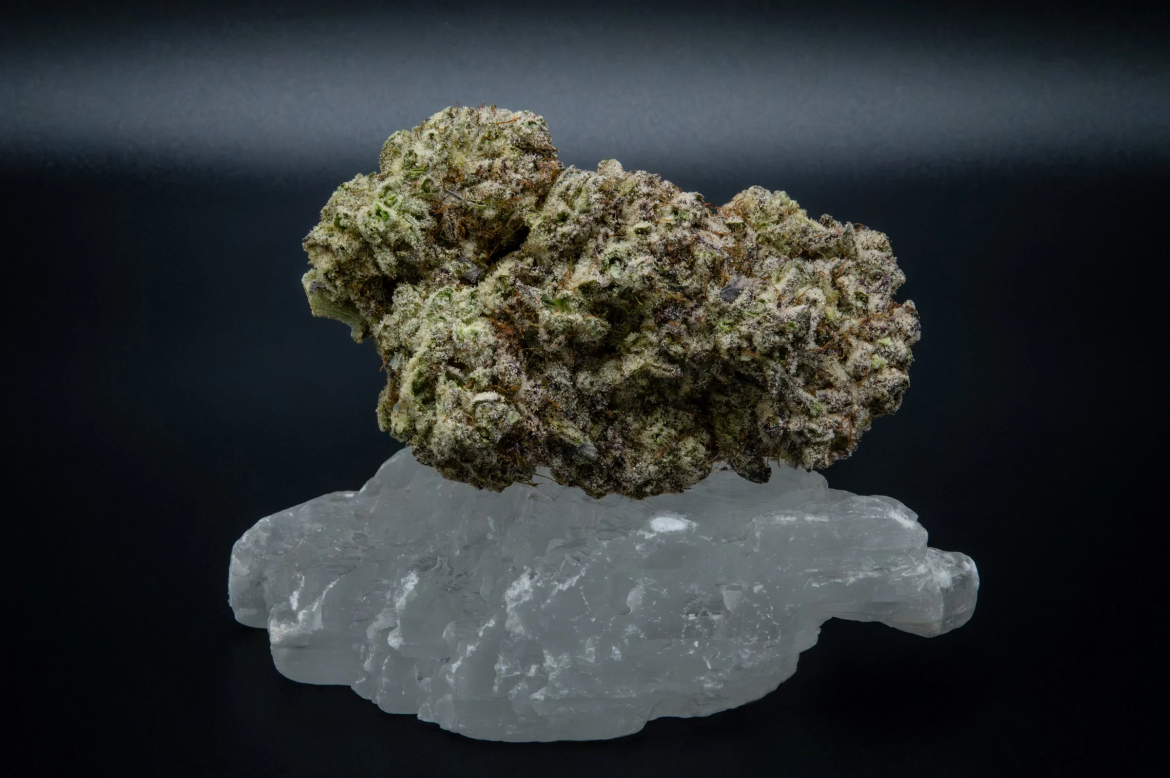 crystal-caviar-1.jpeg