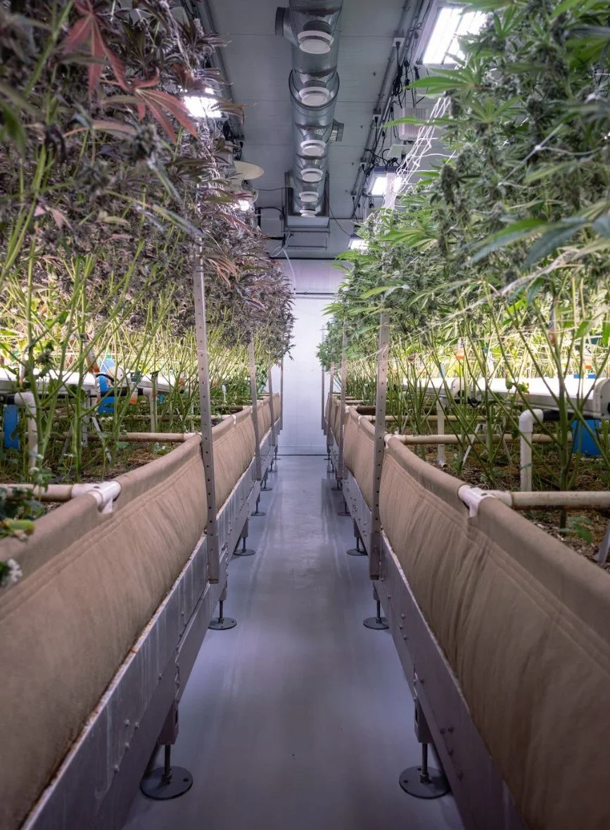 Screenshot 2026-04-01 151715.jpg