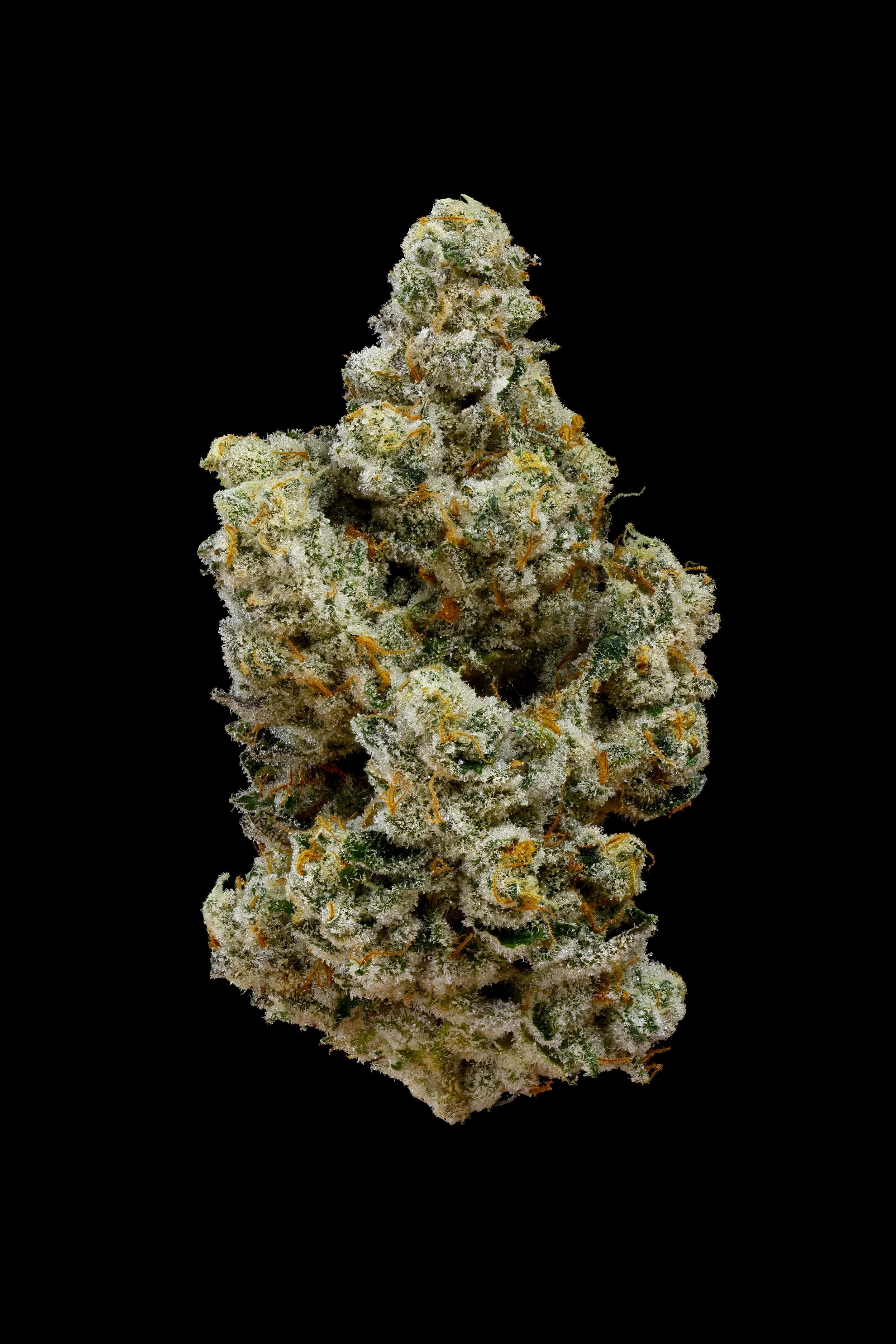 021024_Fugu_DriedFlower_Hero_Black.jpg
