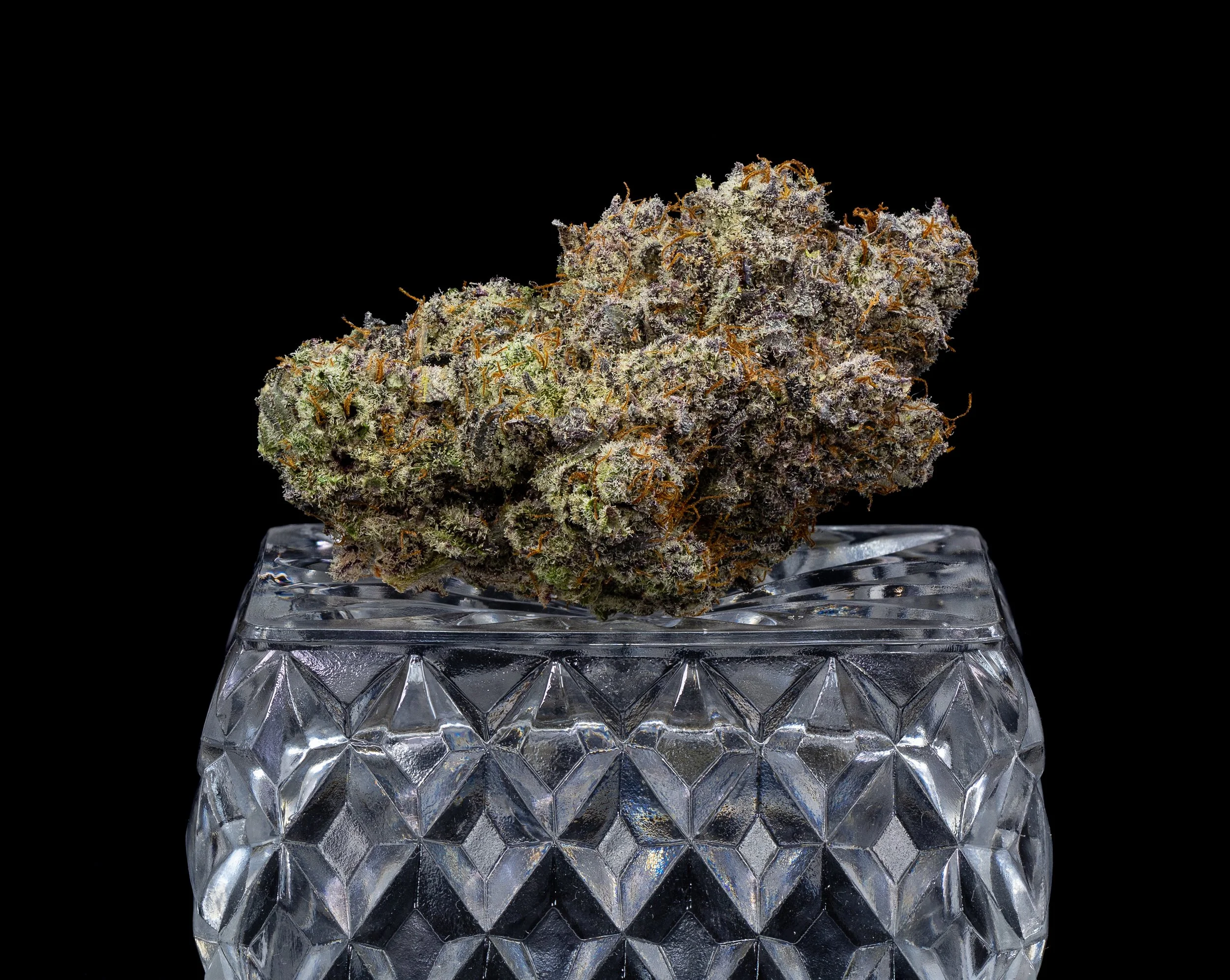 Quantum_Sour Safire (1).jpg