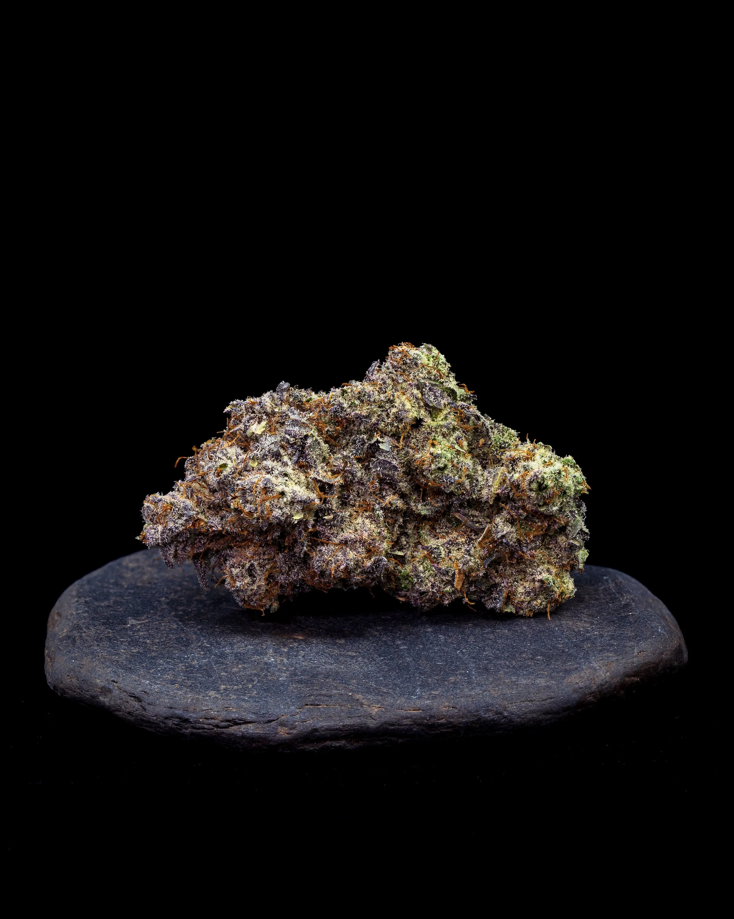 Quantum_Sour Safire 3 (1).jpg