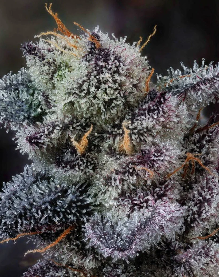 Screenshot 2026-04-01 151548.jpg