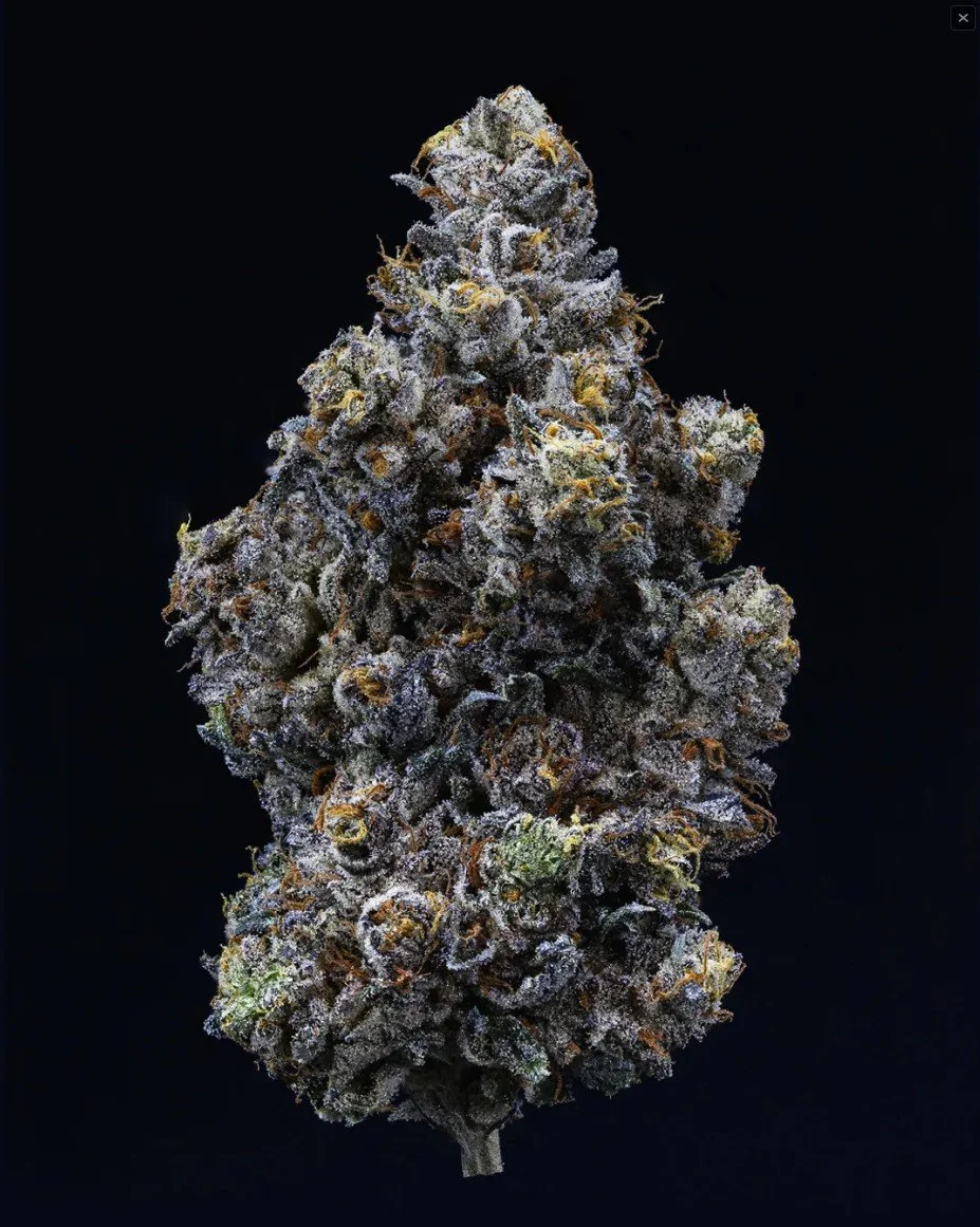 Screenshot 2026-04-01 152333.jpg