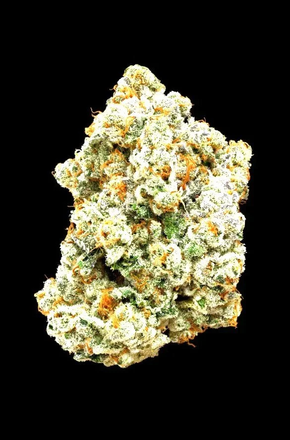 Screenshot 2026-04-01 152036.jpg