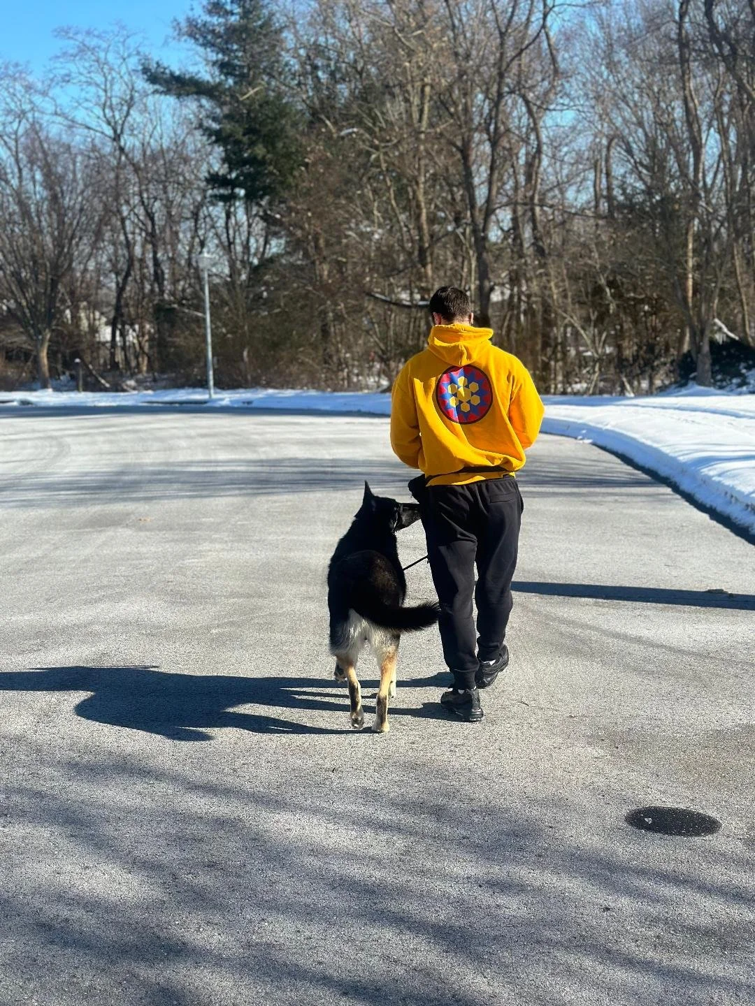 A person walking a black and white dog on a snowy outdoor street in winter, with bare trees and some evergreens in the background, wearing a bright yellow jacket with a colorful circular design on the back.