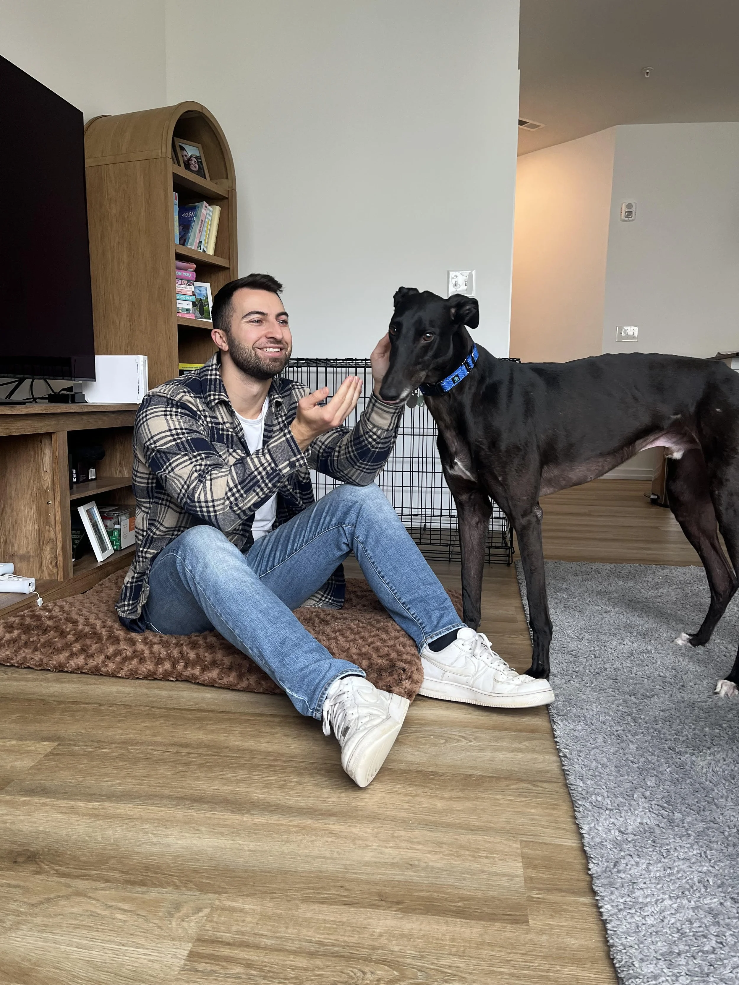 A dog trainer sitting on a brown rug and petting a large black dog with a blue collar inside a house. The man is smiling and the dog is looking at him.
