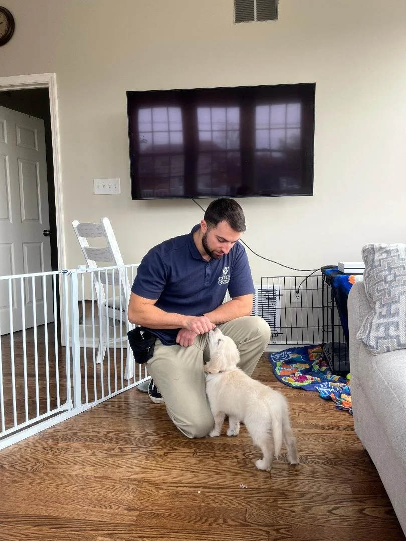 A man kneeling on a hardwood floor, playing with a puppy inside a playpen, in a living room with a large wall-mounted TV and a gray couch.