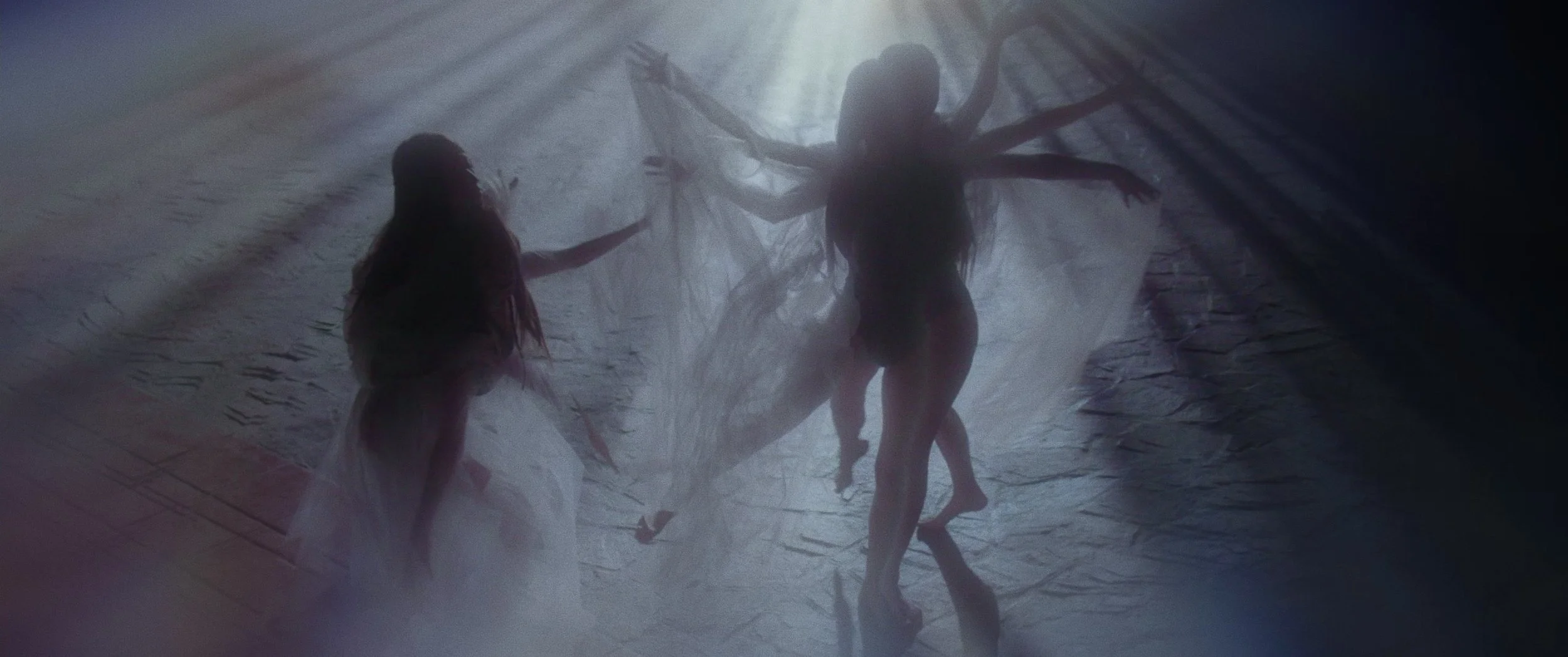 Silhouettes of two women, one with long hair, standing in a foggy, dark setting with a large, spider-like creature with multiple limbs hanging overhead.
