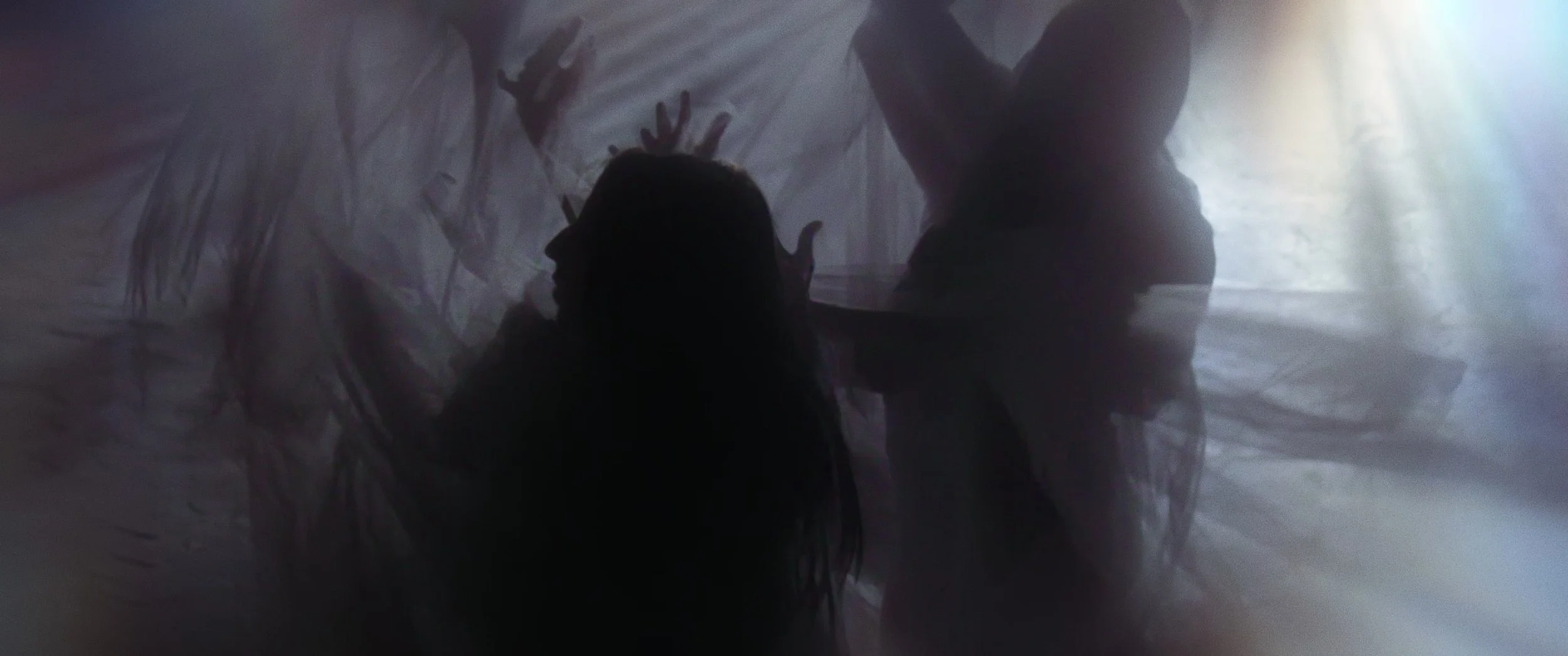 Silhouettes of two women behind a sheer fabric, with sunlight creating a dreamy, backlit effect.