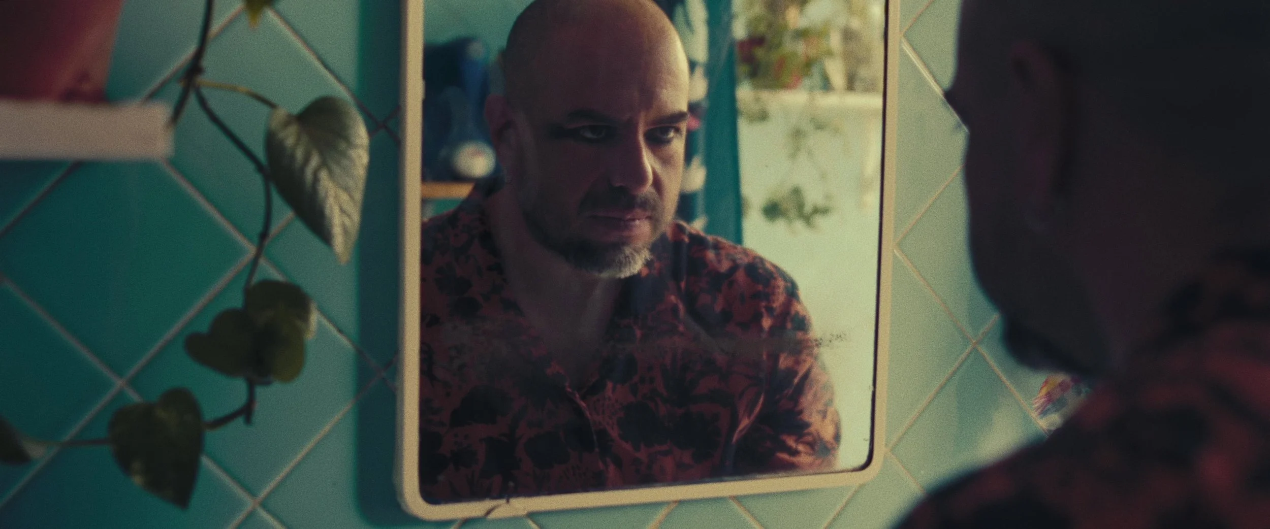A man looking at himself in a small bathroom mirror, with a pointed and serious expression. The mirror is mounted on a tiled wall with a leaf-shaped plant in the foreground.