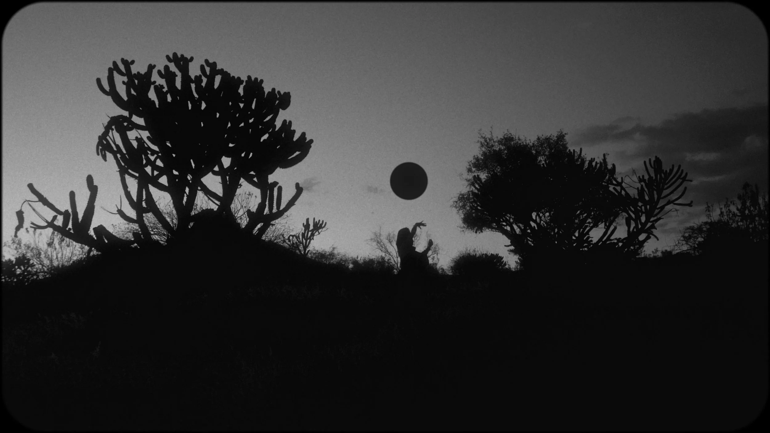 Silhouette of a person sitting under bushes and trees during sunset or twilight with a dark circle in the sky.