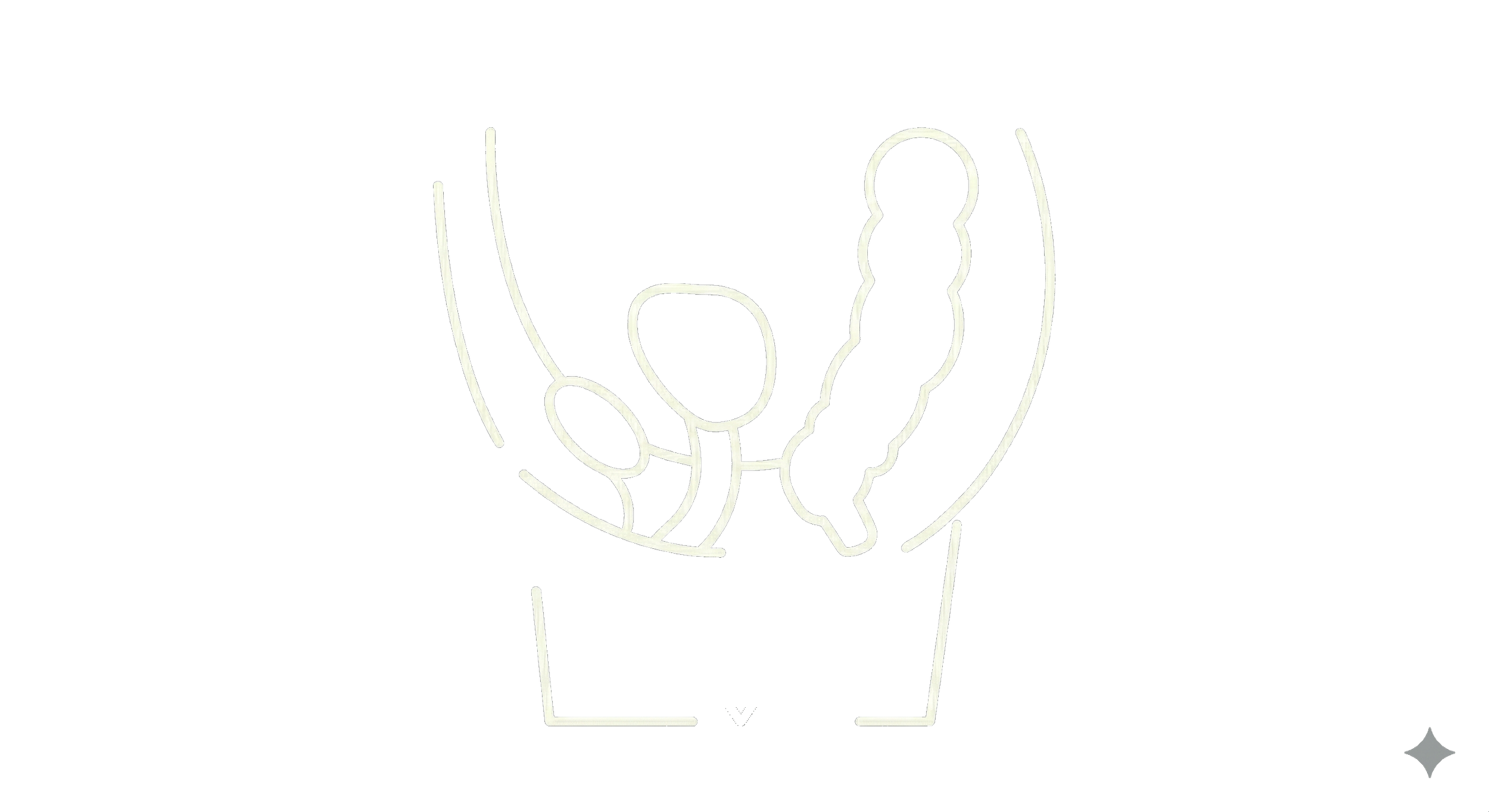 Prolapse of the Pelvic Organs