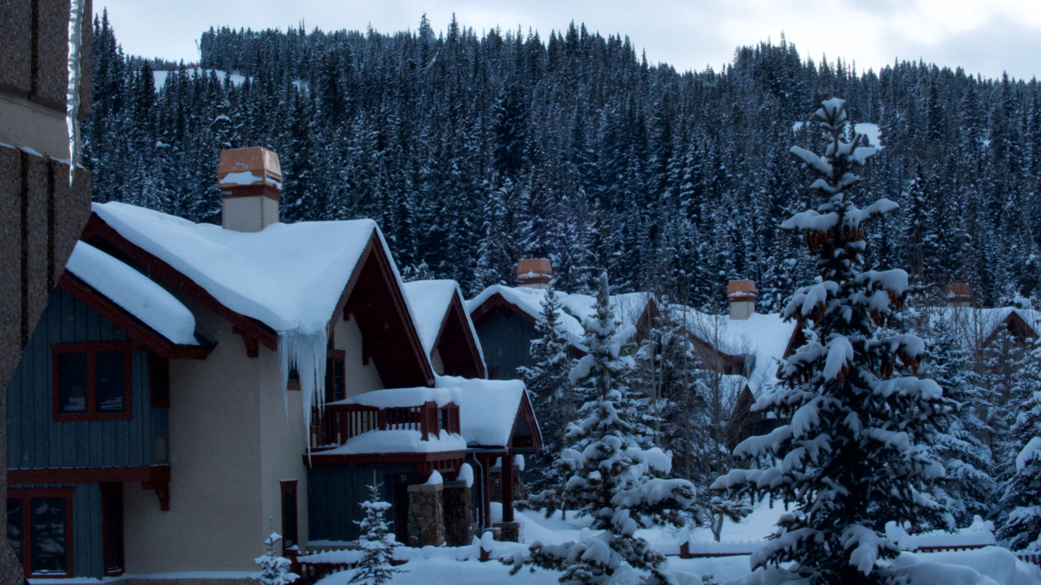 Snow-covered trees and houses in a mountain setting during winter.