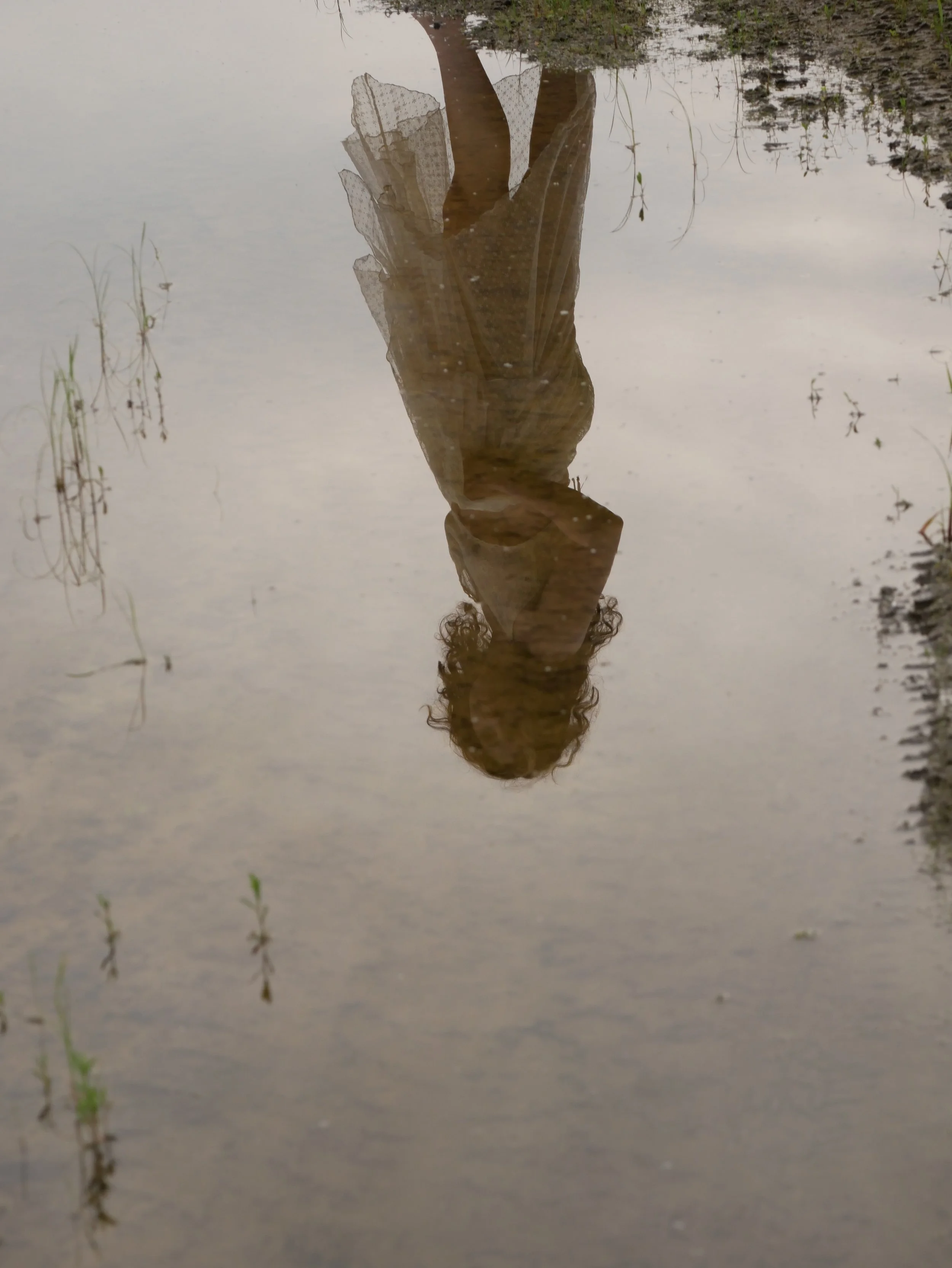 _1090095.JPG