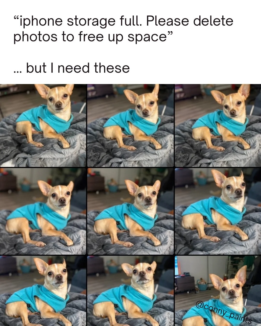Sorry to Rickroll y&rsquo;all but it seemed appropriate. I&rsquo;m never gonna give up my 6-12 photos of the exact same subject. They&rsquo;re all reference photos!!! 

#mushrooms #chihuahua #cat #squirrel #bee