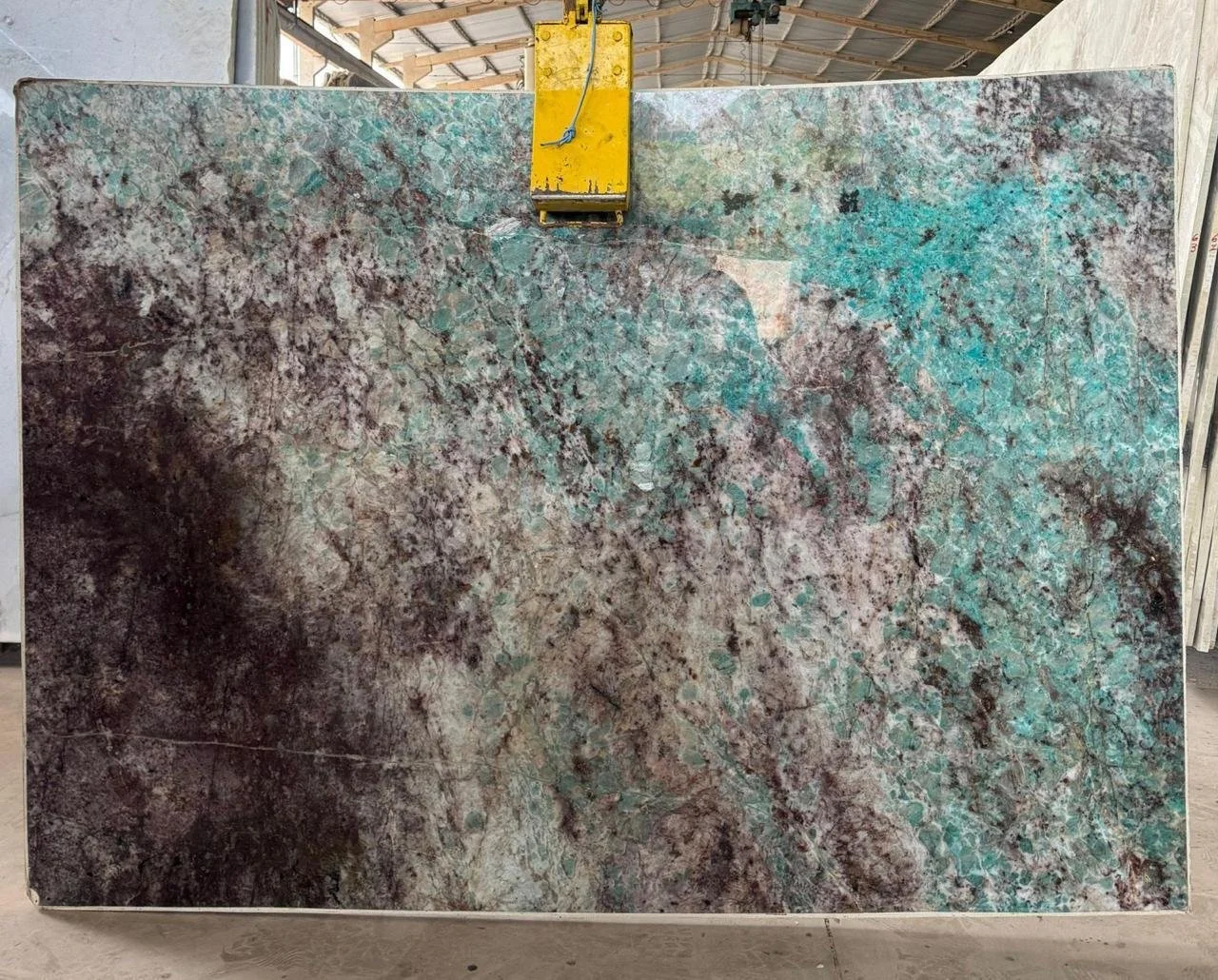 PHOTO-2026-02-19-20-00-30 11.jpg