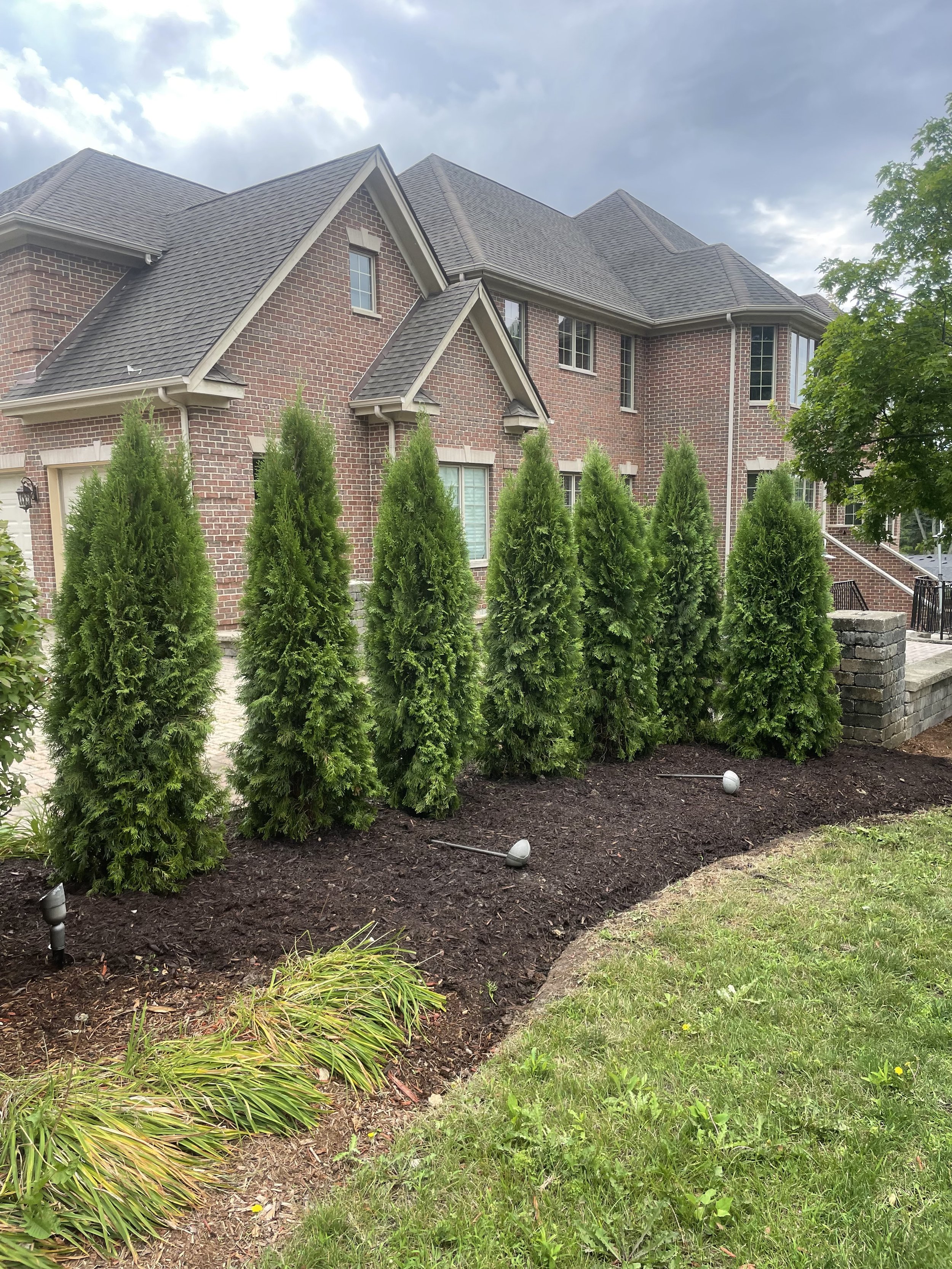 Turn Intention Into Action