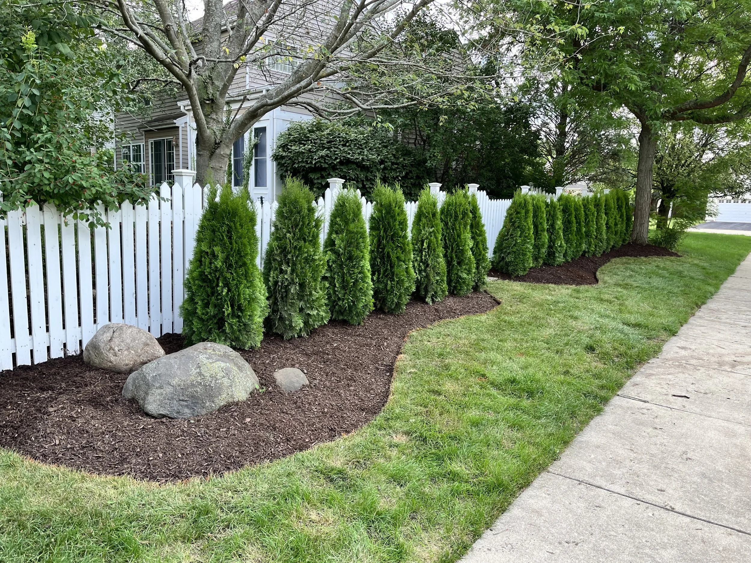 Small Steps Create Big Shifts  (Copy)