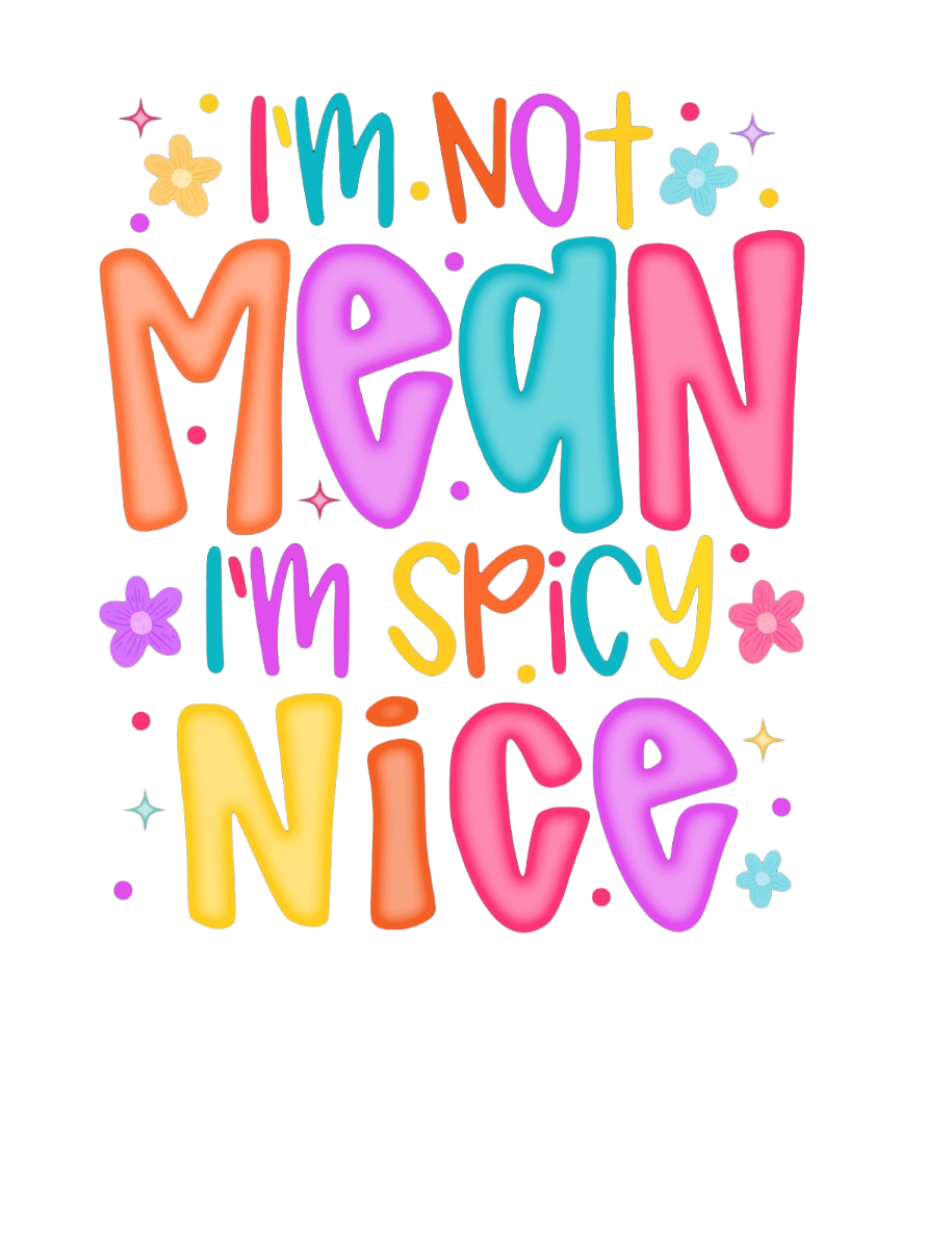 I'M NOT MEAN I'M SPICY NICE