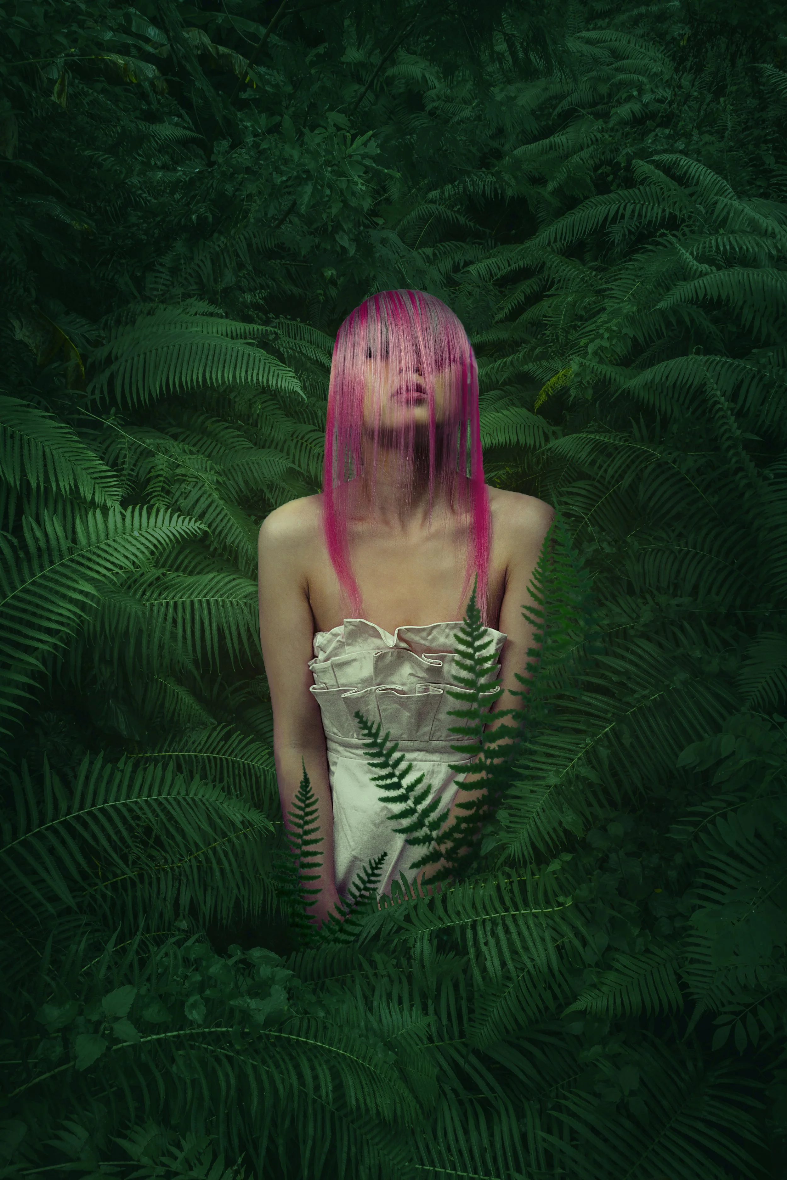 Helena i bregnene 2_1.jpg