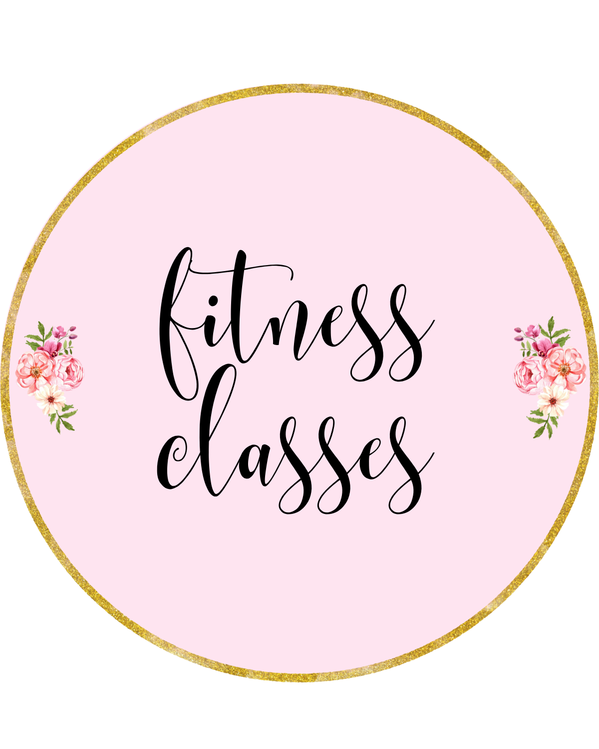 Fitness Classes (individual)