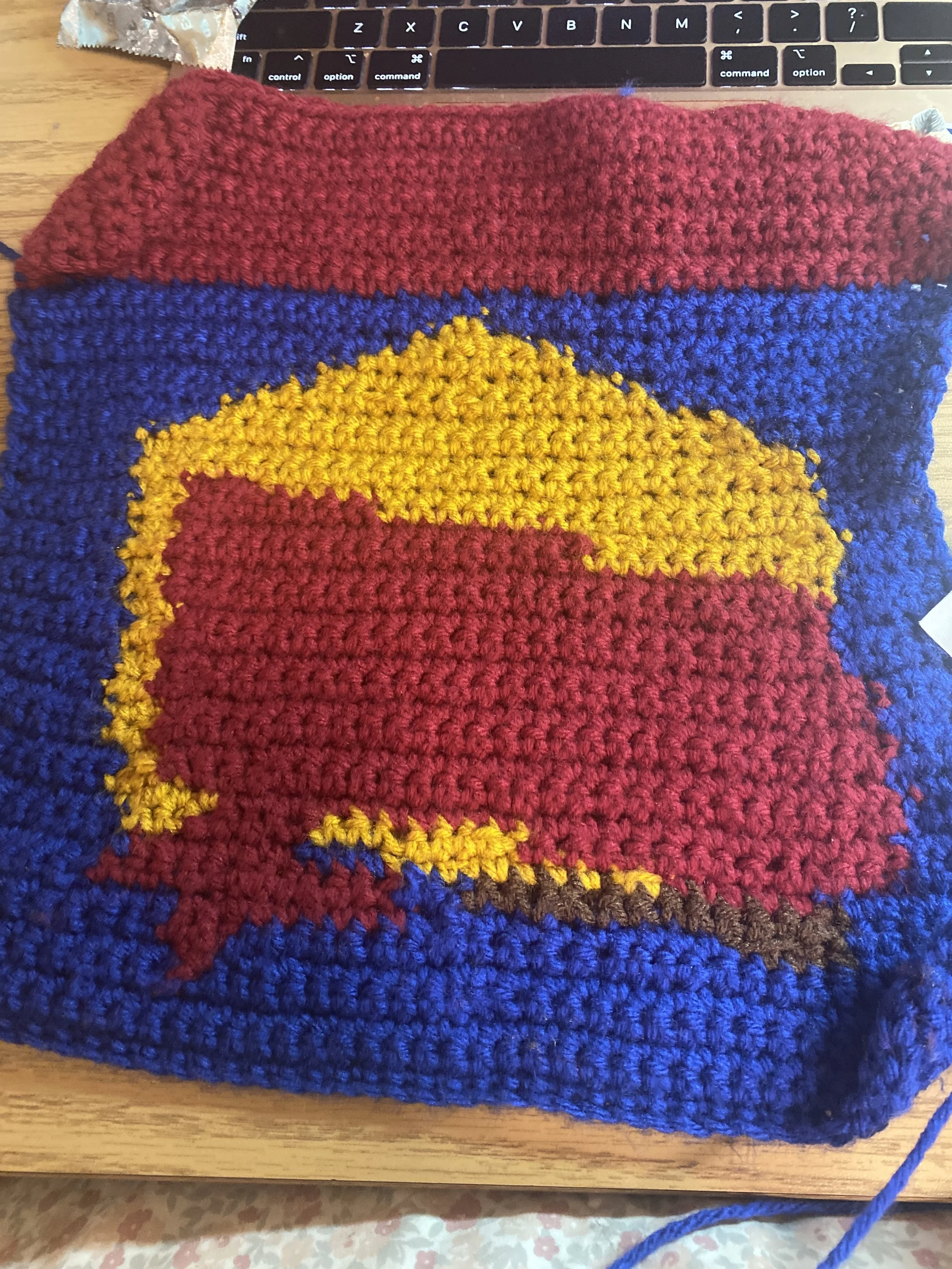 Cherry Pie Crochet Pillow.JPG