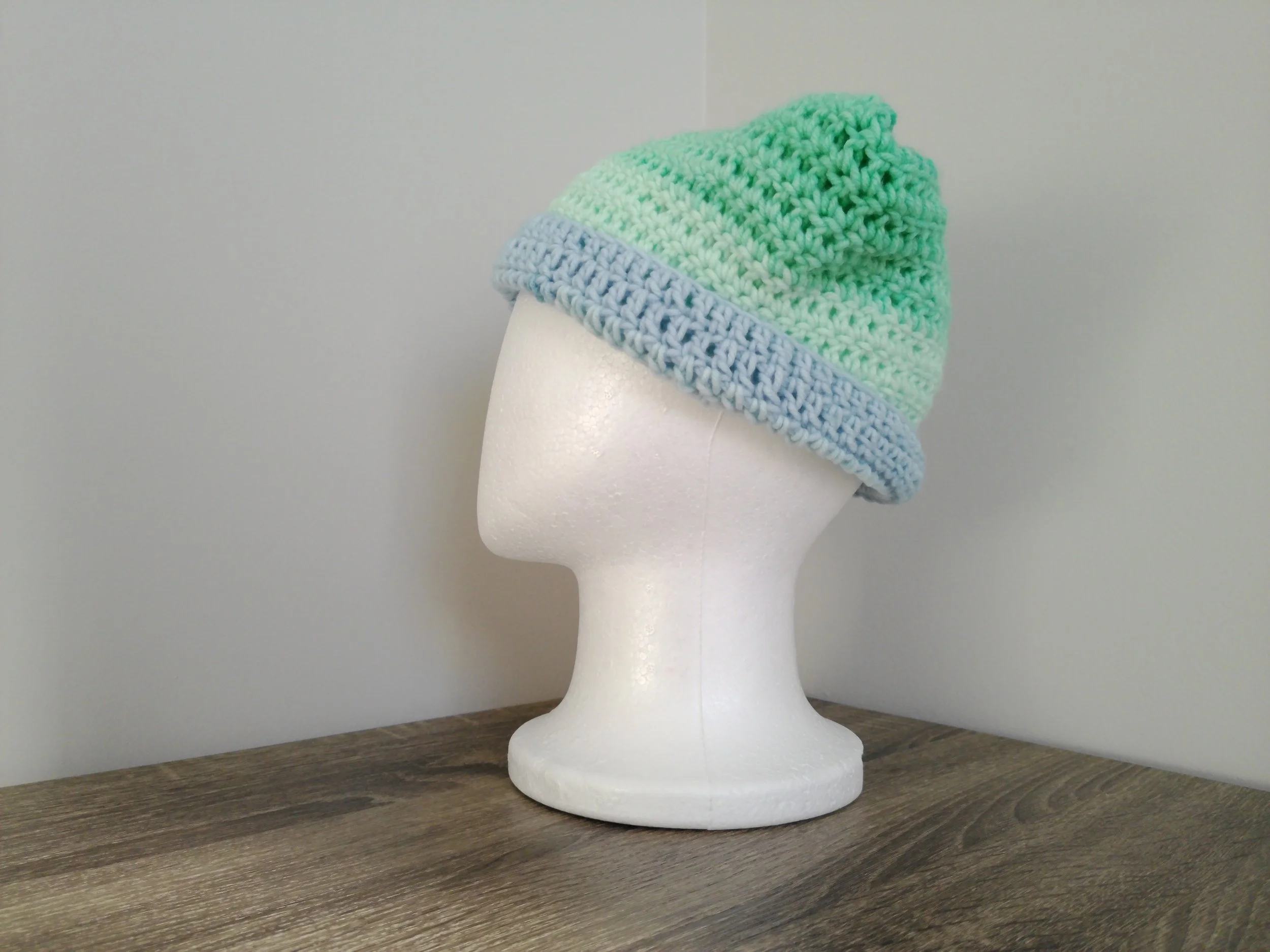 Light Blue and Sea Green Cat Beanie_Right 1.JPG