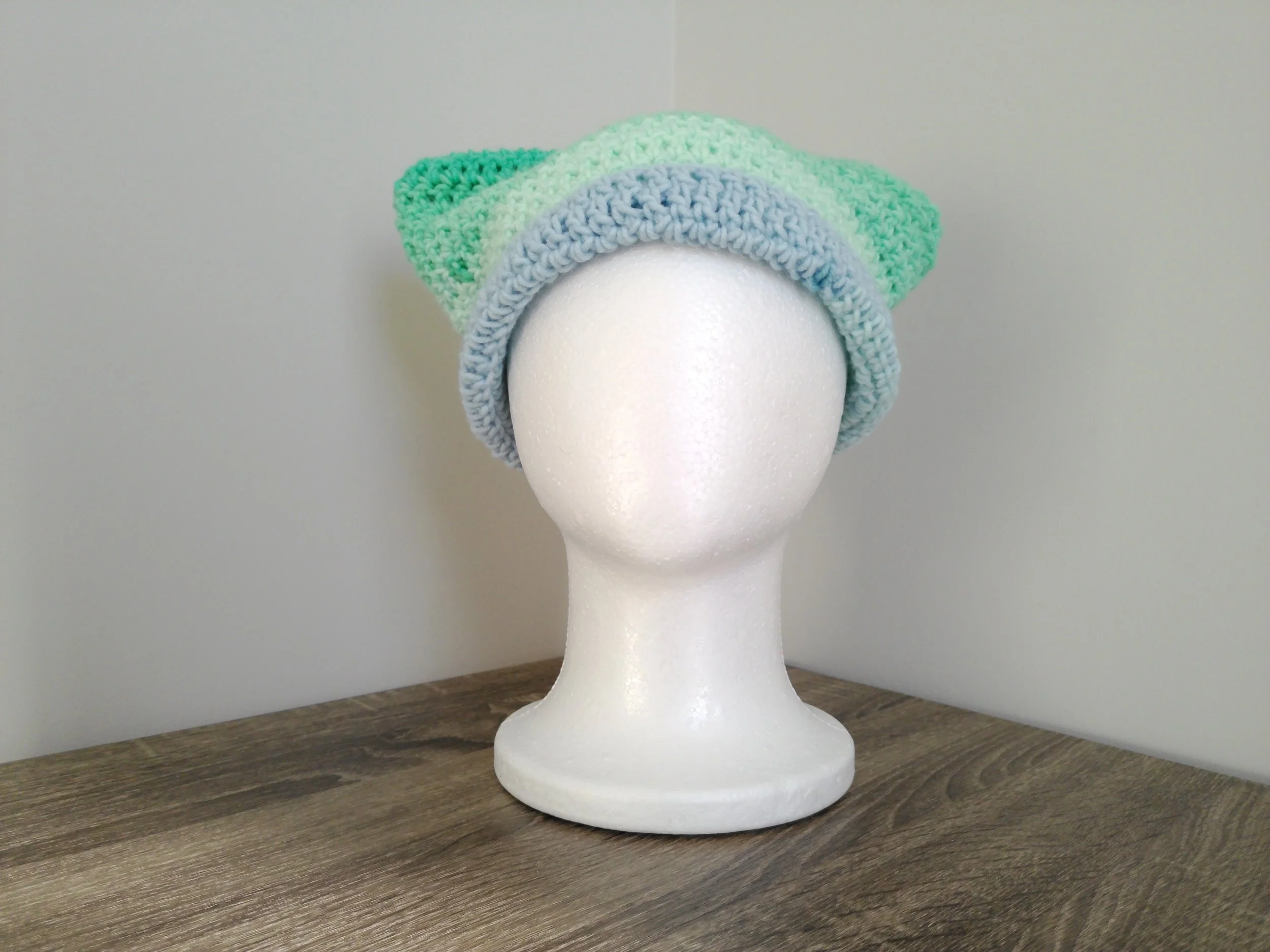 Light Blue and Sea Green Cat Beanie_Front 2.JPG