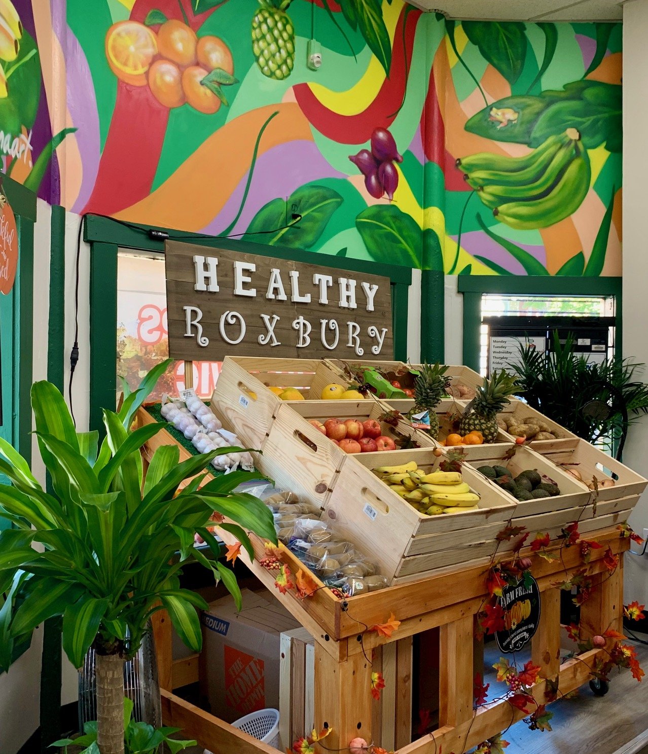 Bodega Makeover — Case Study