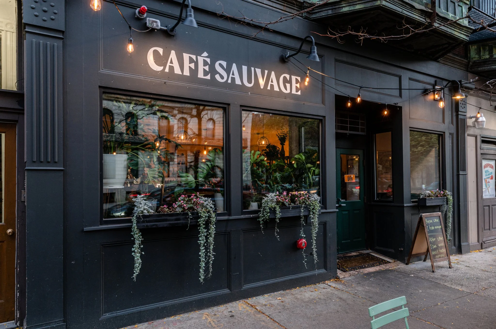 CAFE SAUVAGE