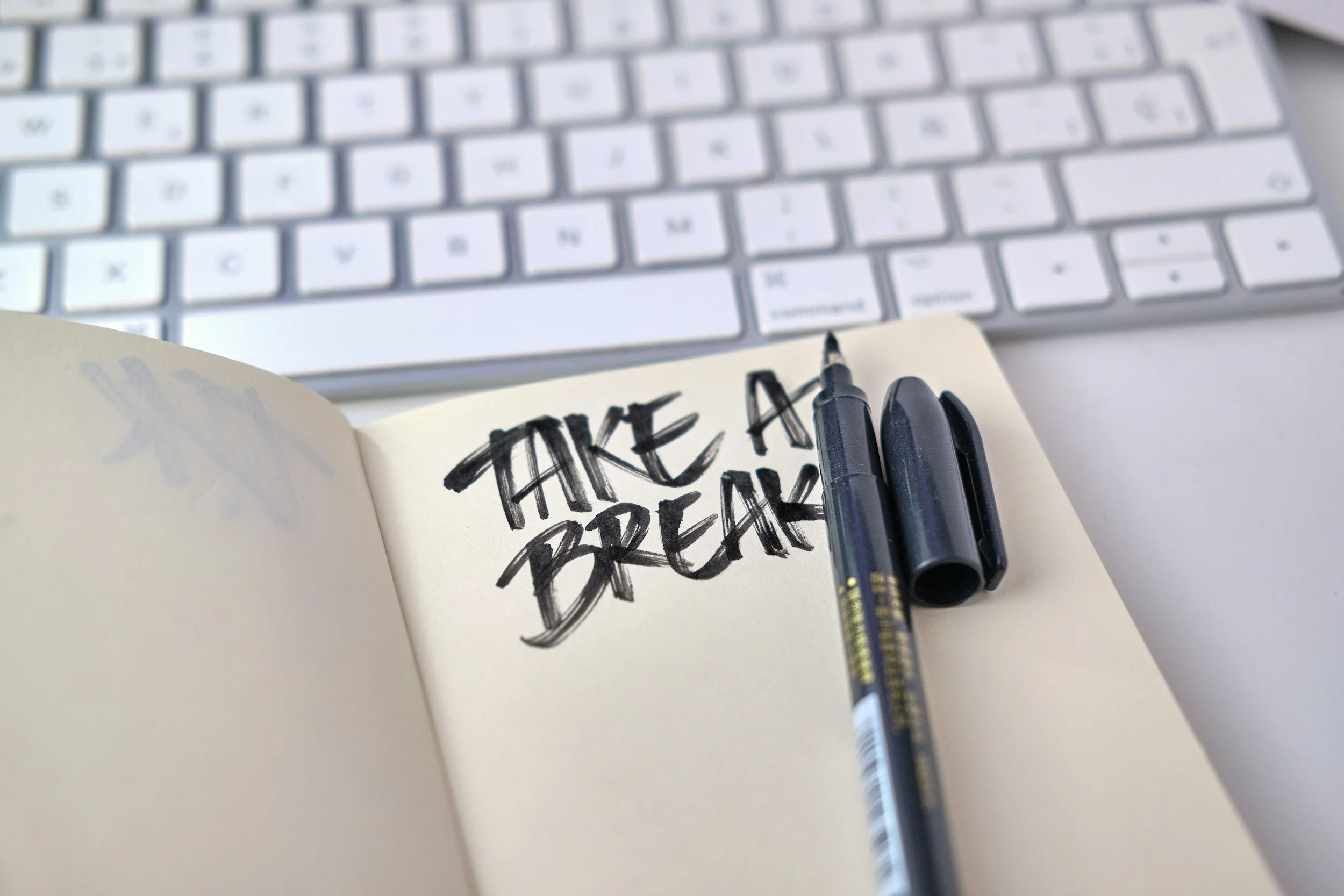 Why Your Brain Needs Downtime