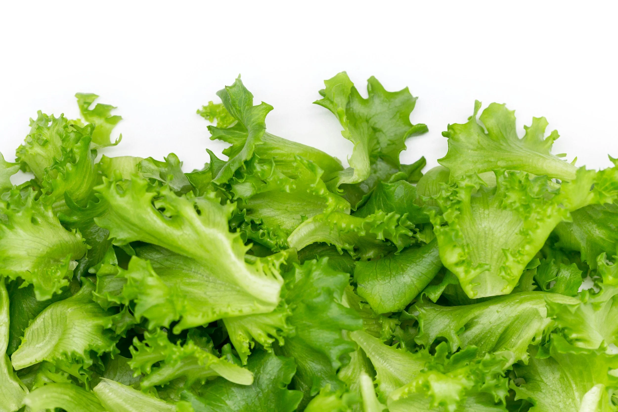 Lettuce Safety: What the Cyclospora Outbreak Means for You