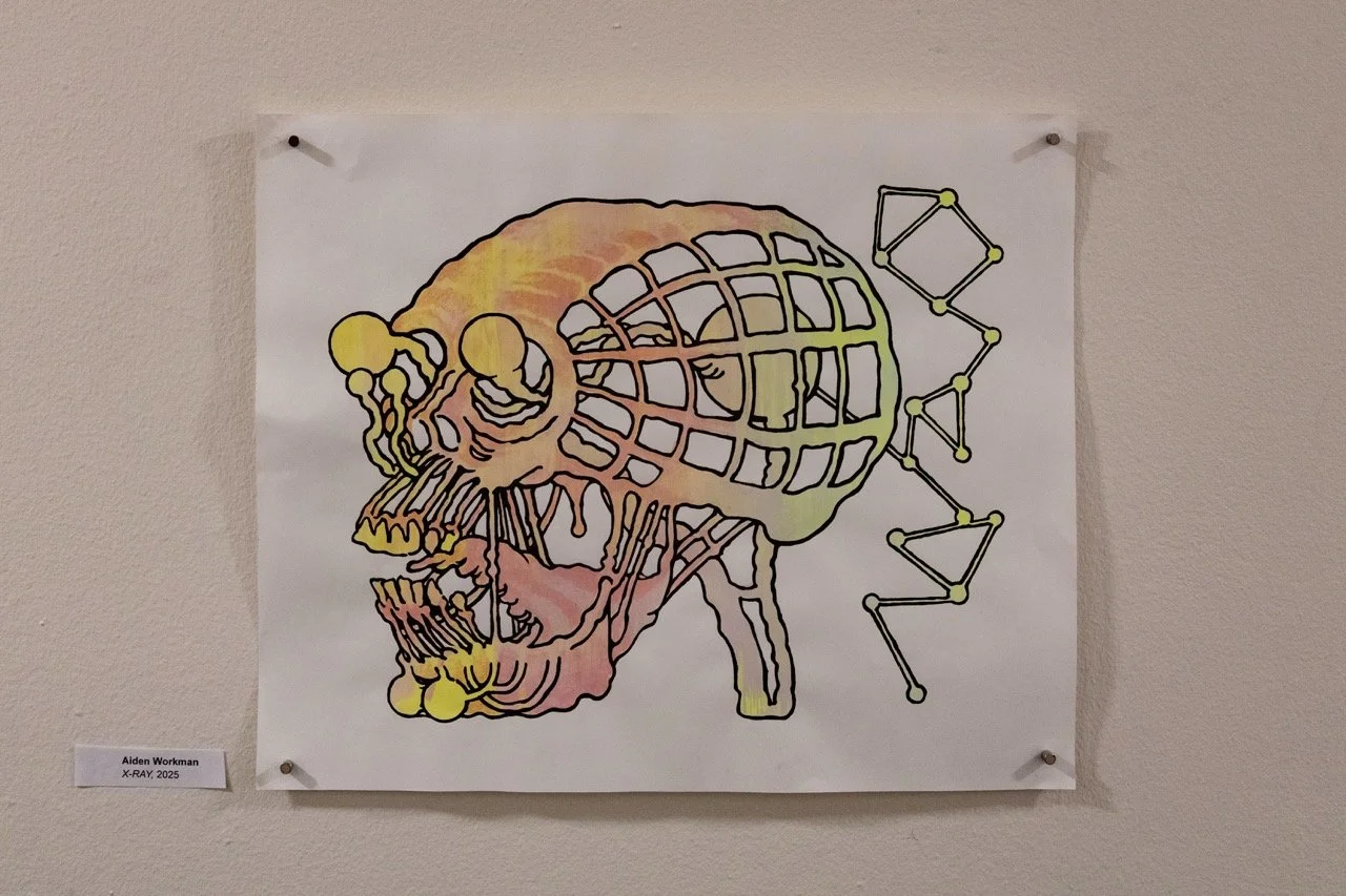 Multicolor_Show-14 Large.jpeg