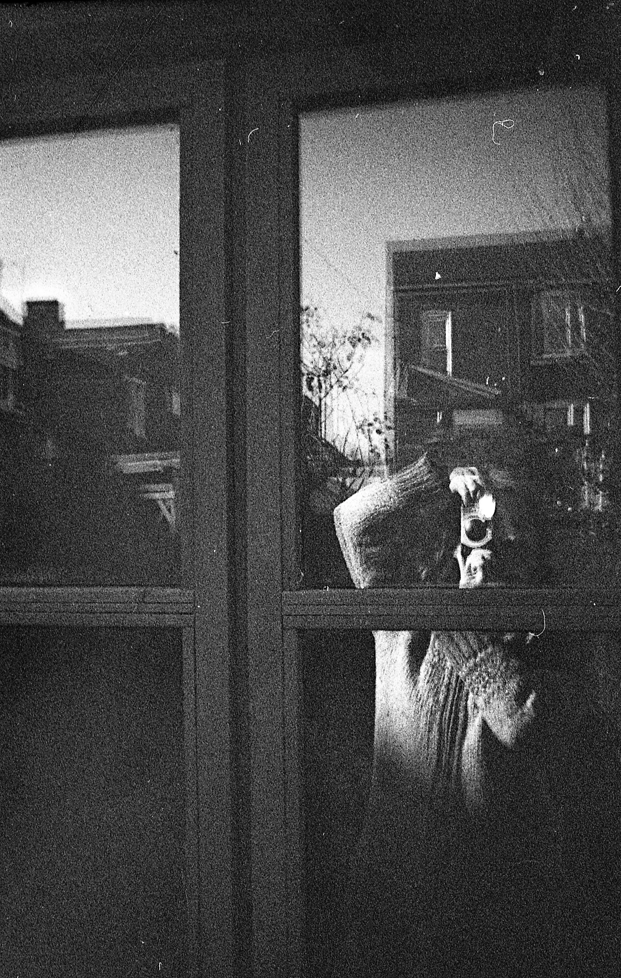 Reflection of a person taking a photograph in a window during night time, with city buildings and a tree visible in the background.