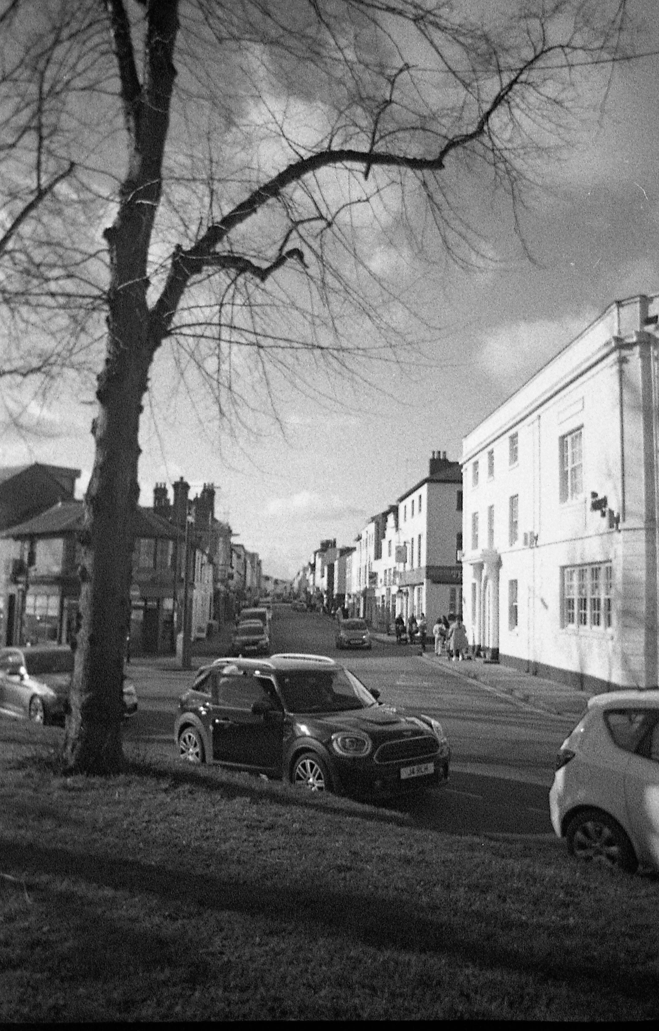A residential street with parked cars, a leafless tree in the foreground, and houses on both sides of the street
