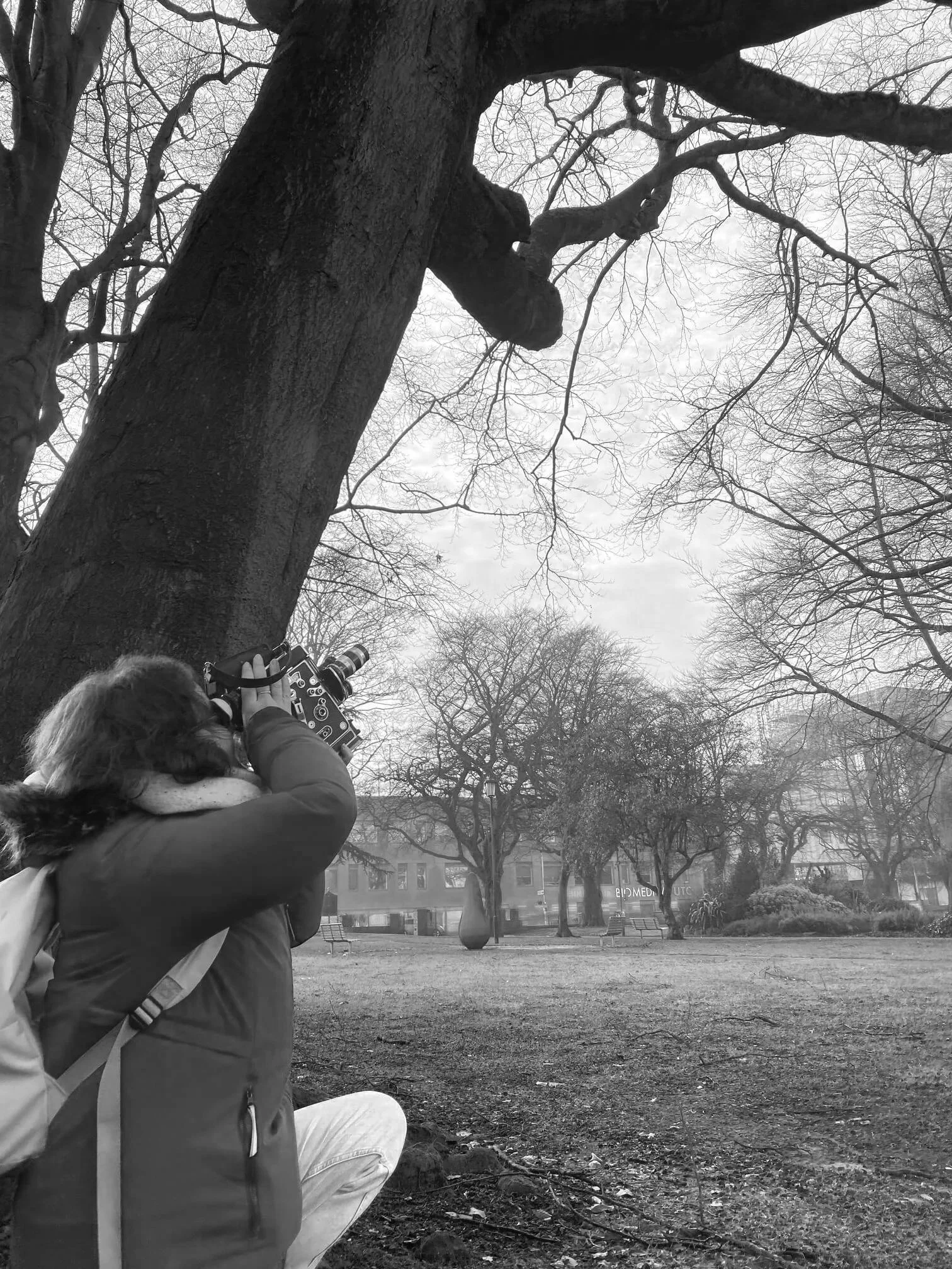 A person crouching and taking a photograph of a large tree with a bird's nest in its branches in a park. The park has leafless trees, benches, and buildings in the background, in black and white.