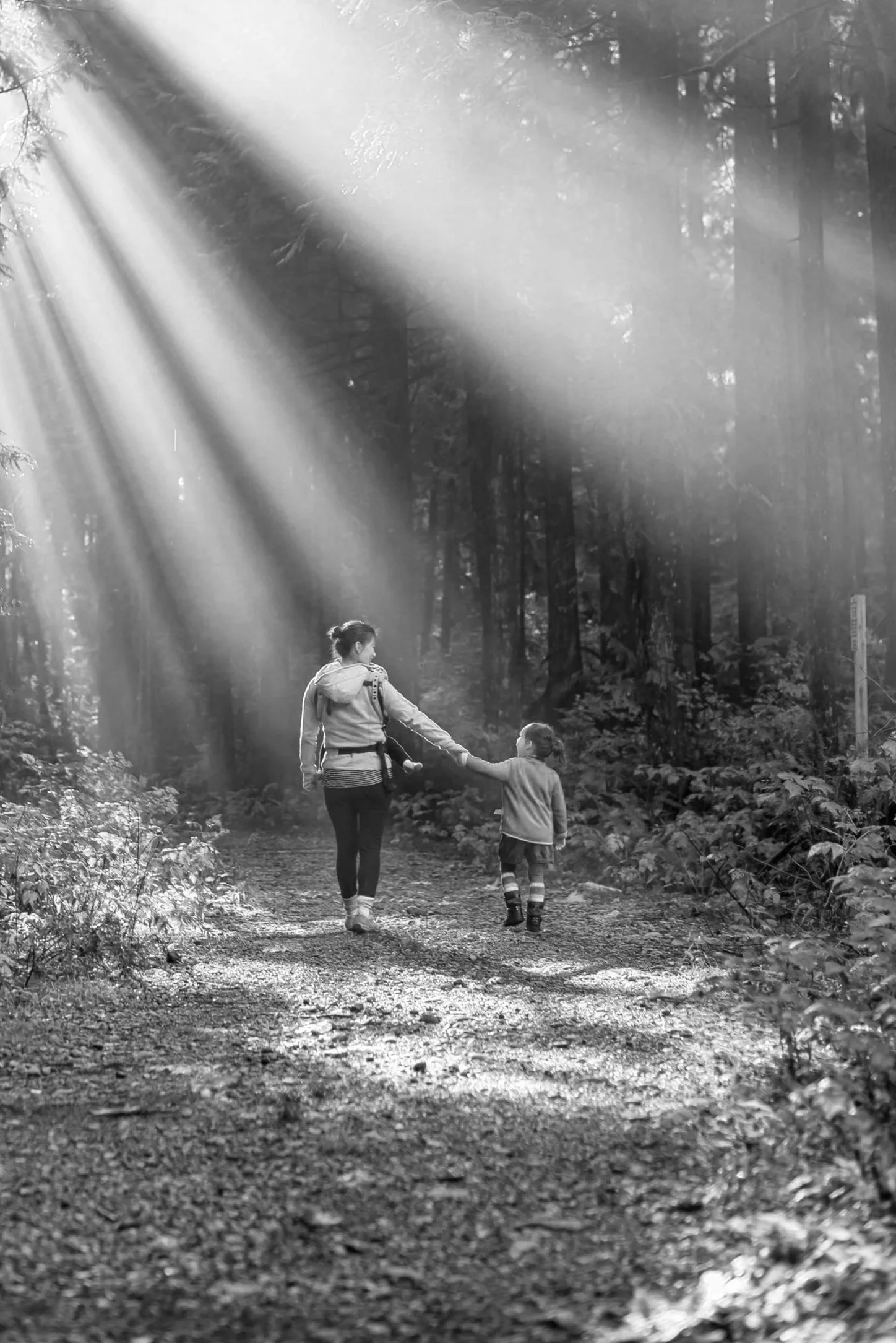 Testamentary discretionary trusts: why the proposed 30% trust tax needs a rethink