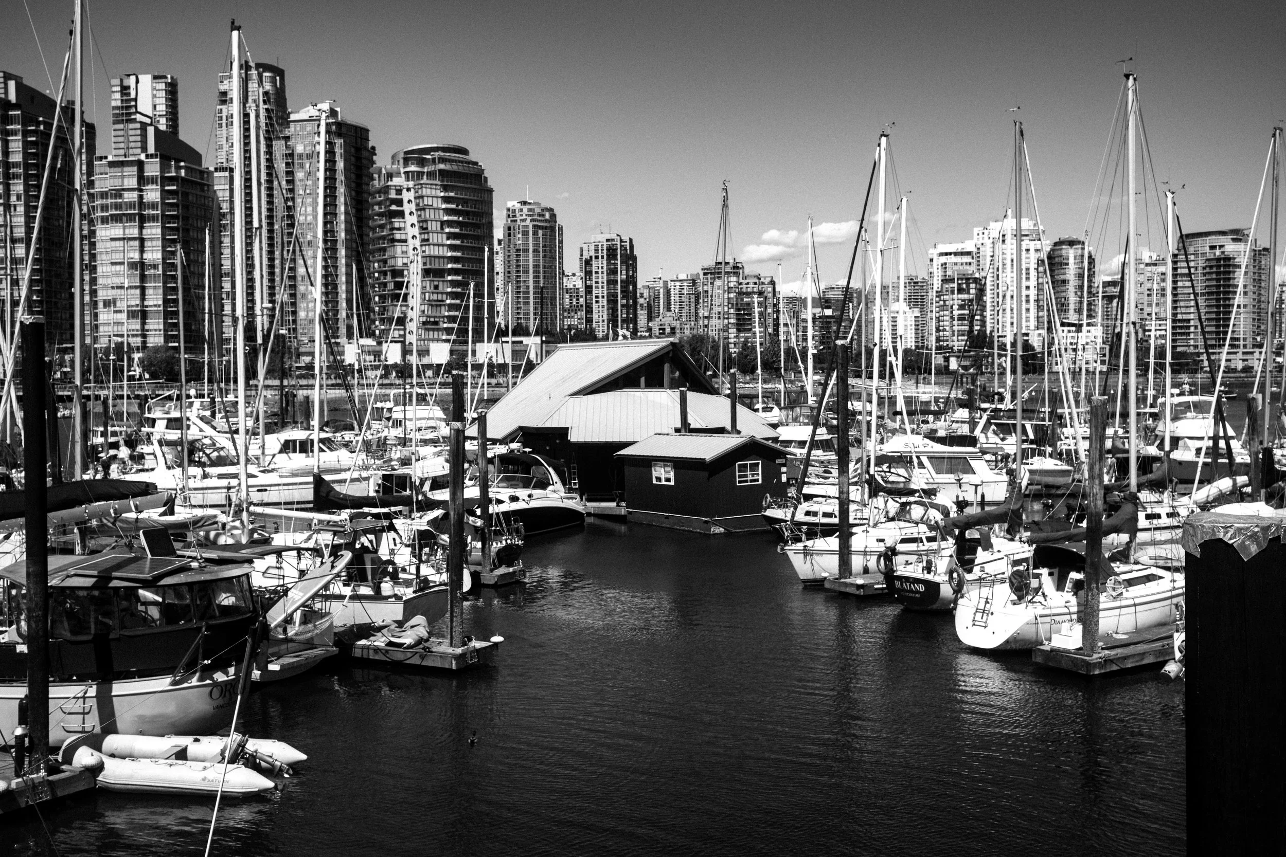 A marina with boats and yachts docked, and a city skyline with tall buildings in the background.