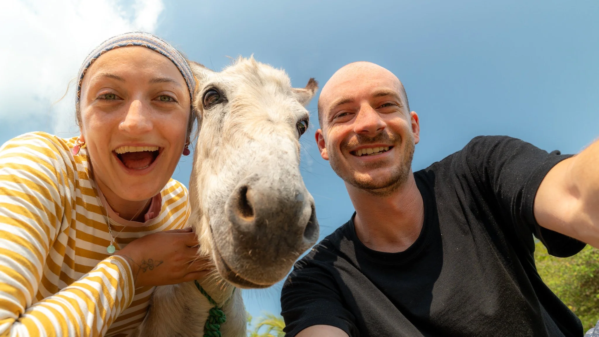 Two smiling people taking a selfie with a horse outdoors under a cloudy sky.