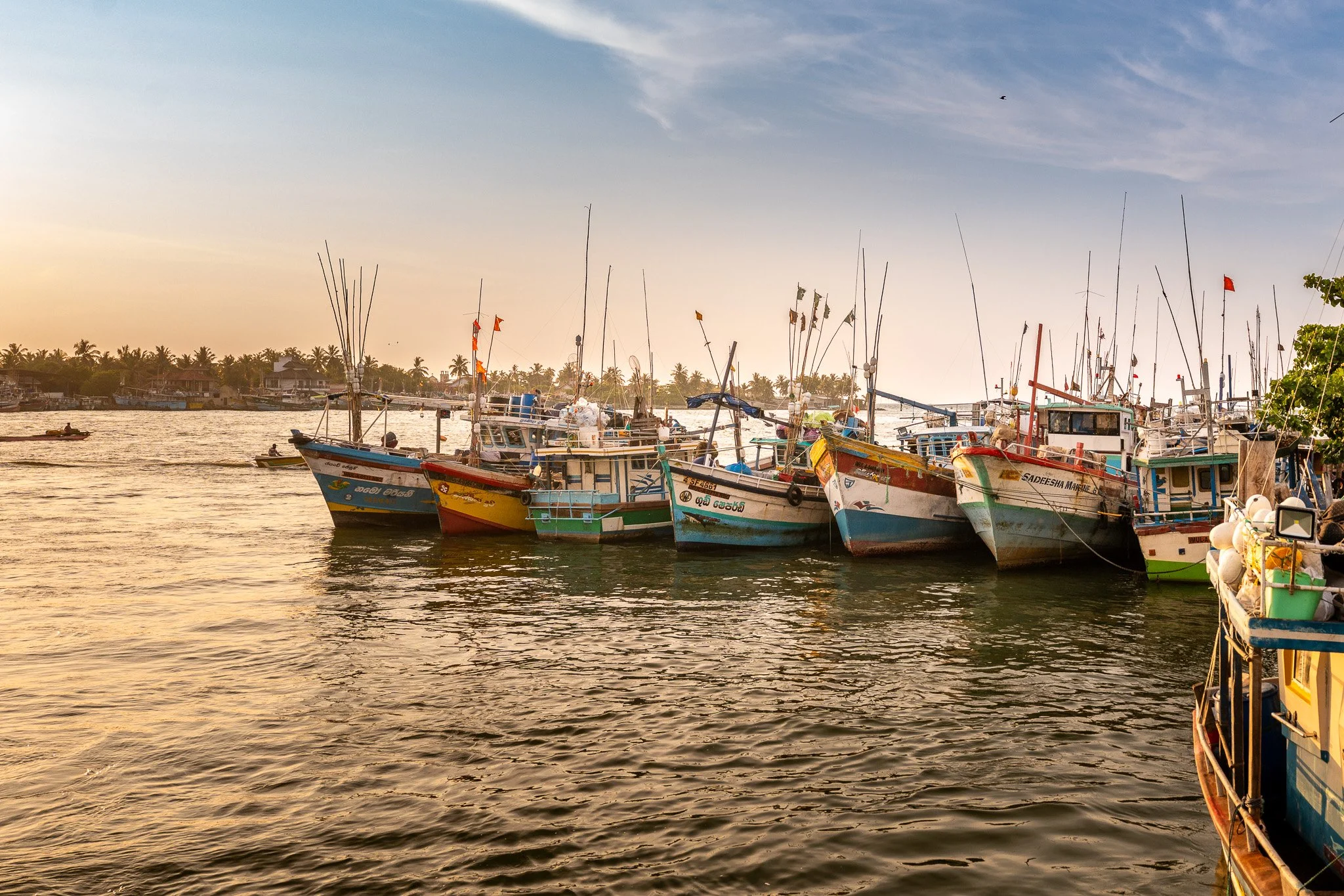 A row of colorful boats docked along a pier during sunset with a calm water surface and distant houses and palm trees in the background.