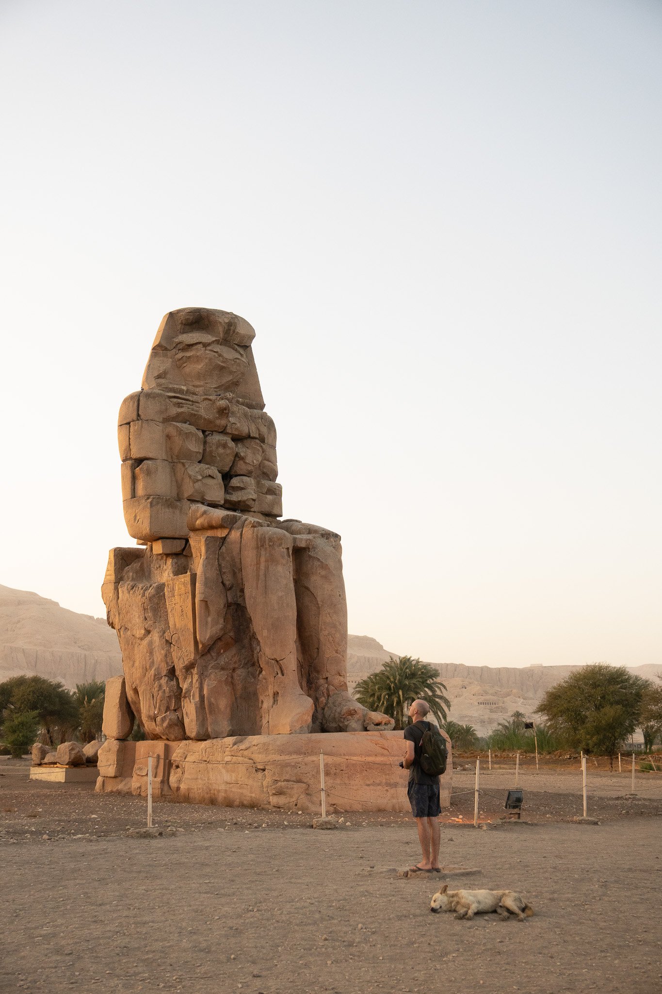 A person with a backpack standing next to a large seated stone statue of an Egyptian pharaoh in a desert landscape with palm trees and distant mountains.