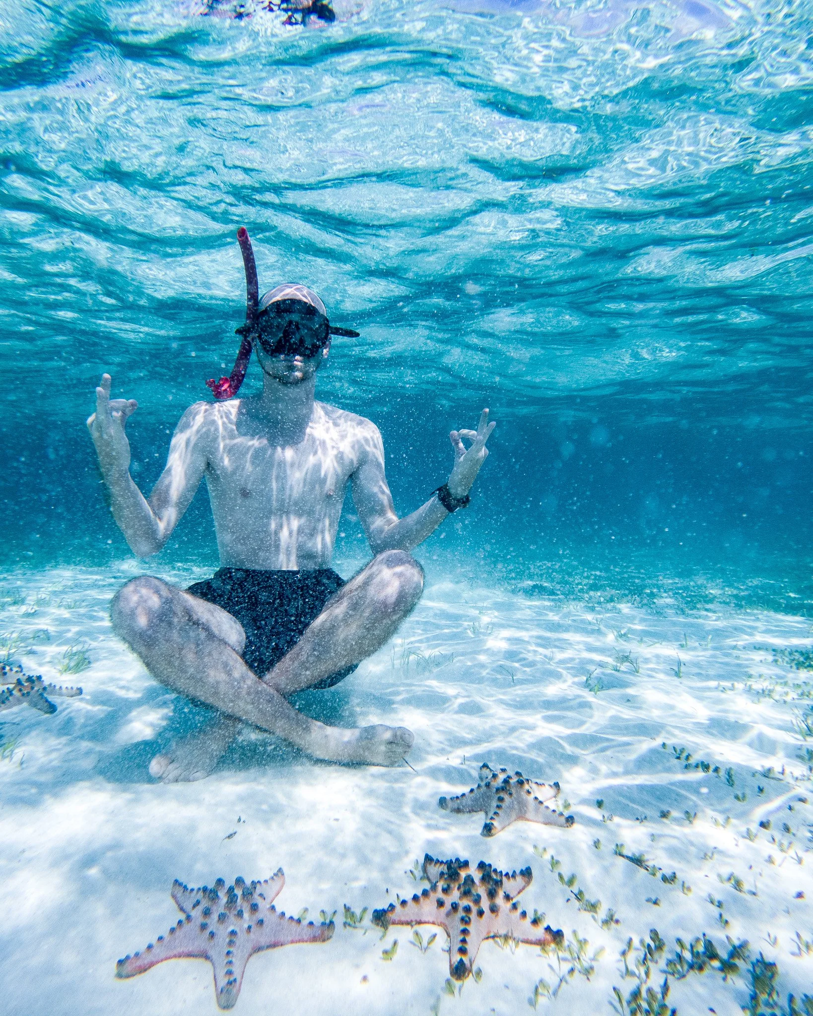 Underwater photo of a person sitting on rocks with a snorkel mask on, pointing with both hands, surrounded by several spotted rays on the sandy ocean floor, with clear blue water above.