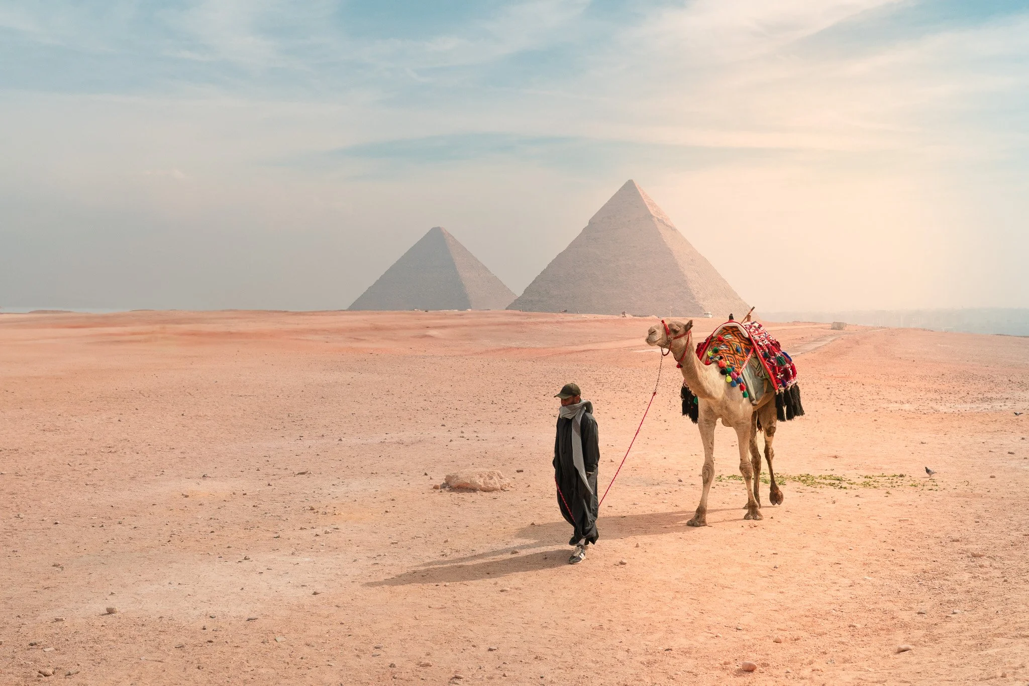 Man walking with a camel in a desert with the pyramids in the background.