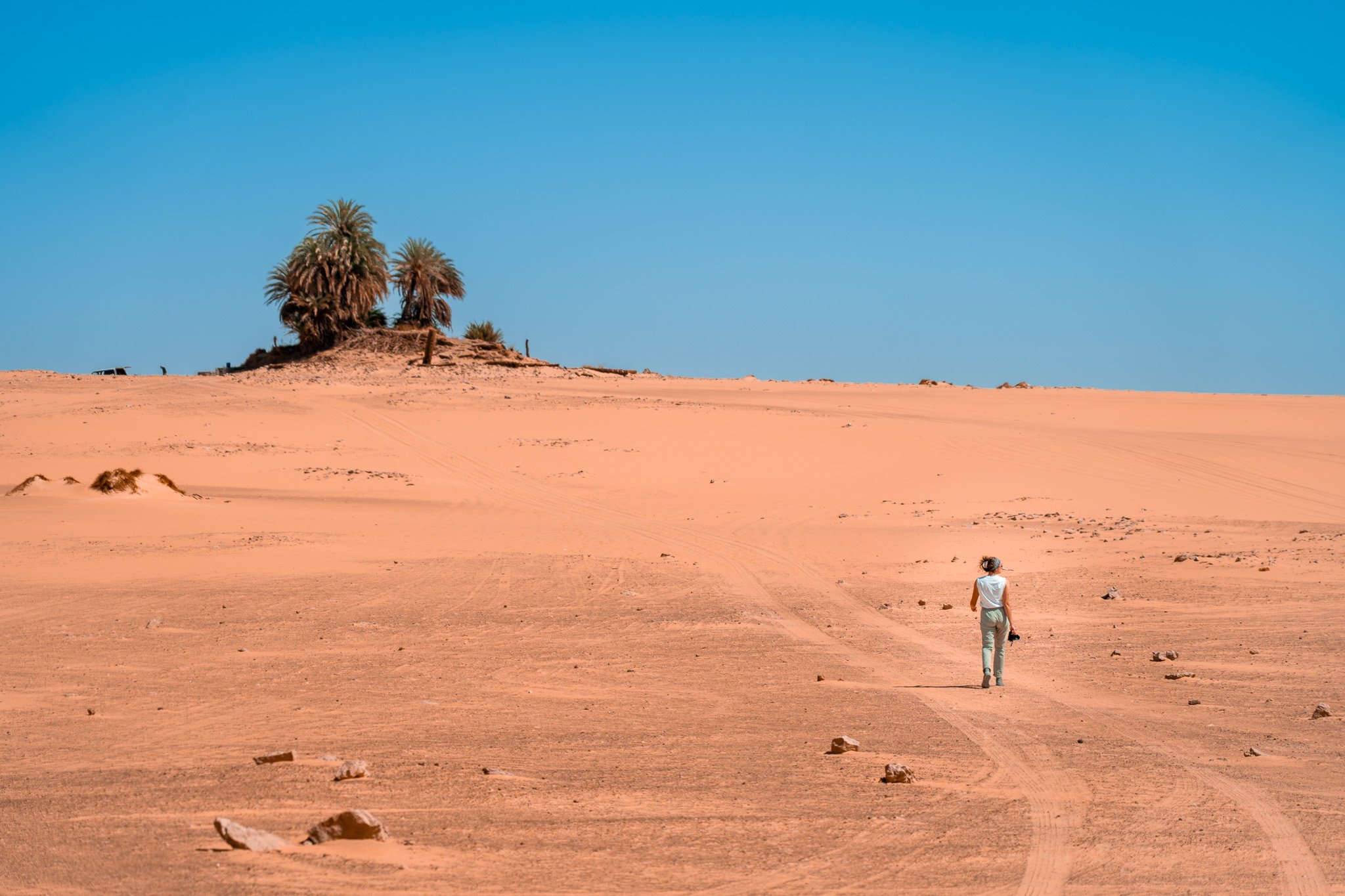 A person walking alone on a vast, sandy desert landscape with a small cluster of palm trees on a hill in the distance under a clear blue sky.